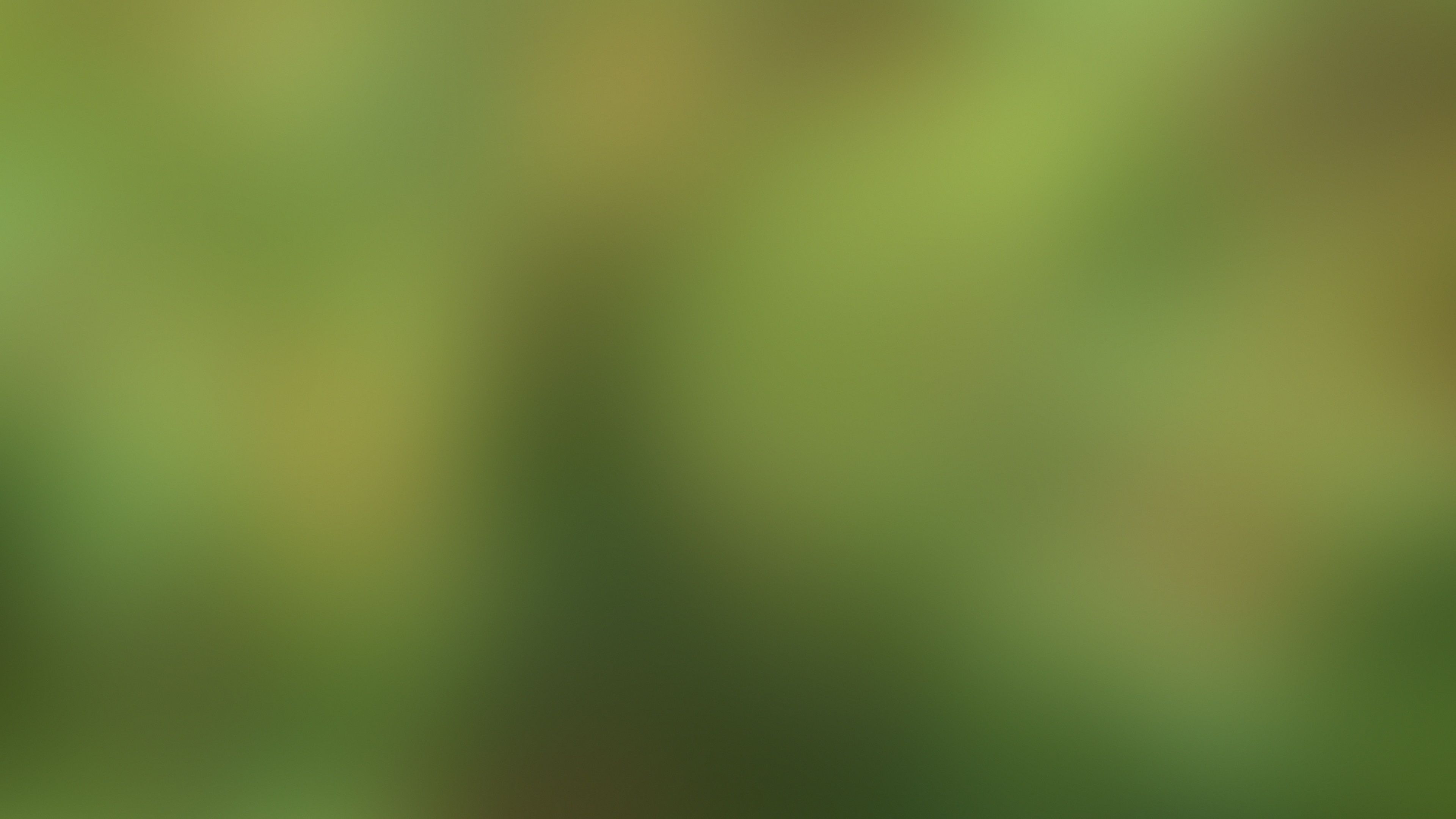 4k Green Blurred Background HD Desktop Wallpaper Background HD