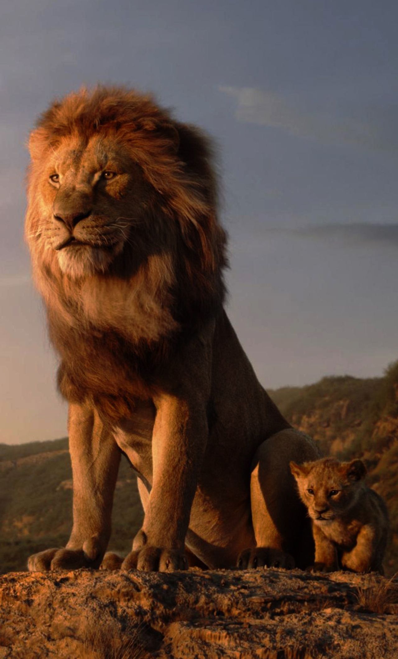 Lion King 3D Wallpapers - Wallpaper Cave