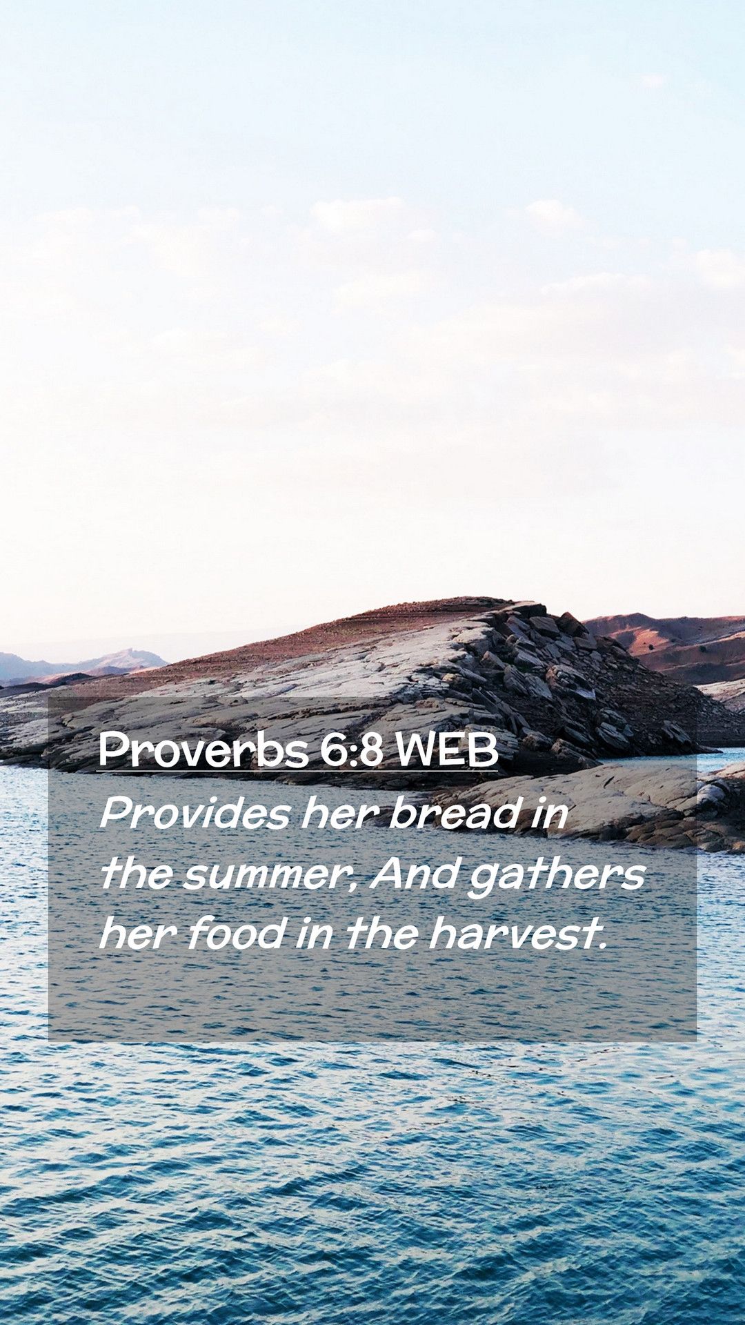 Proverbs 6:8 WEB Mobile Phone Wallpaper her bread in the summer, And gathers her