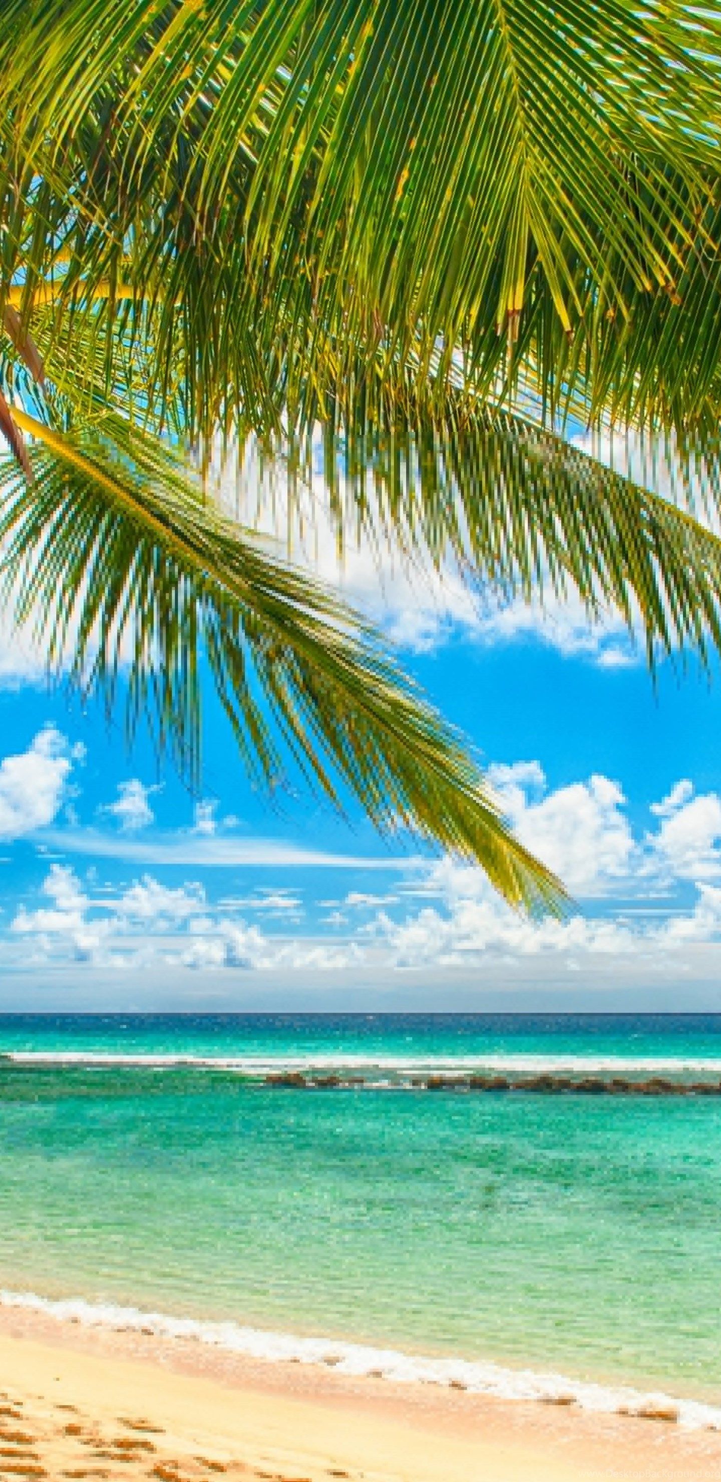 Paradise Sea Summer Ocean Beach Tropical Palms Sunshine Wallpaper. Desktop Background