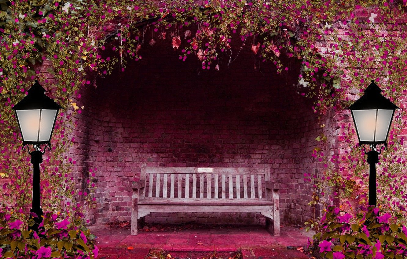 Wallpaper flowers, bench, pink, lights, arch, spring garden image for desktop, section природа