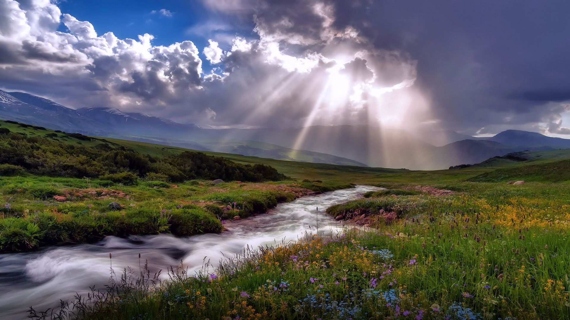Wallpaper. Nature. photo. picture. valley, stream, flowers, the storm, summer