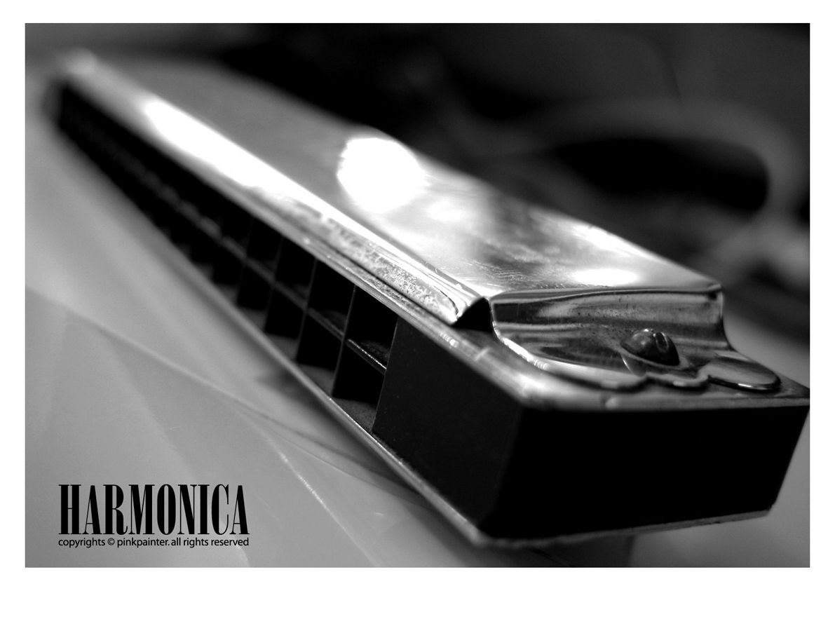 Harmonica Images – Browse 17,223 Stock Photos, Vectors, and Video | Adobe  Stock