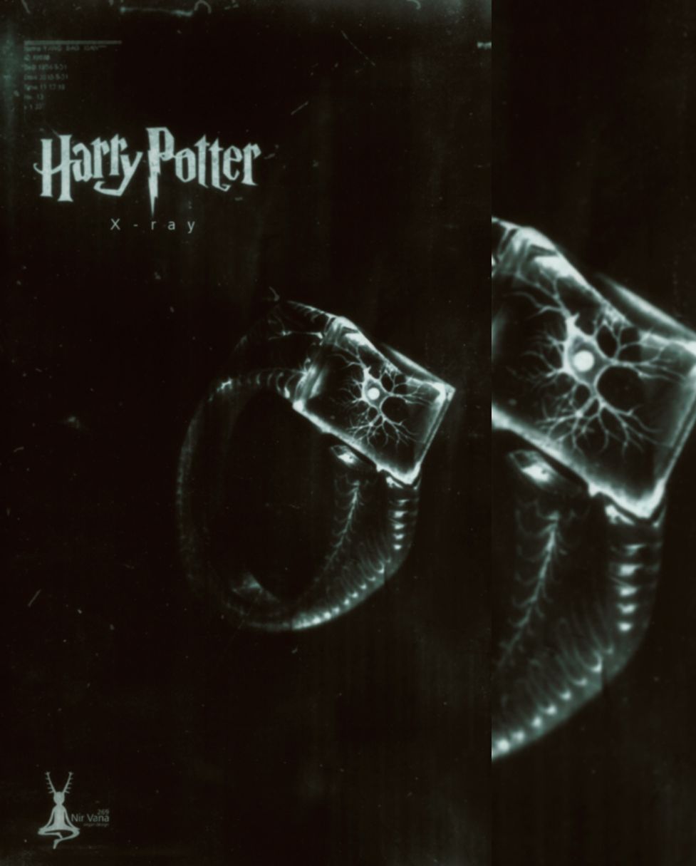 Harry Potter Horcrux X Ray. Horcrux, Harry Potter Art, Harry Potter