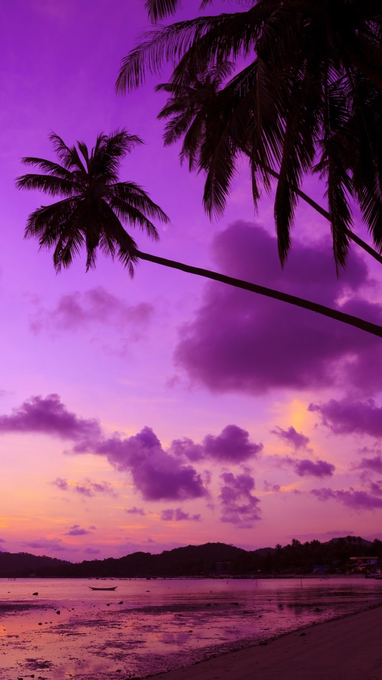 Beautiful sunset wallpaper for iPhone 7 from Everpix app! Download Everpix on the App Store!. Tree wallpaper iphone, Beach sunset wallpaper, Palm trees wallpaper