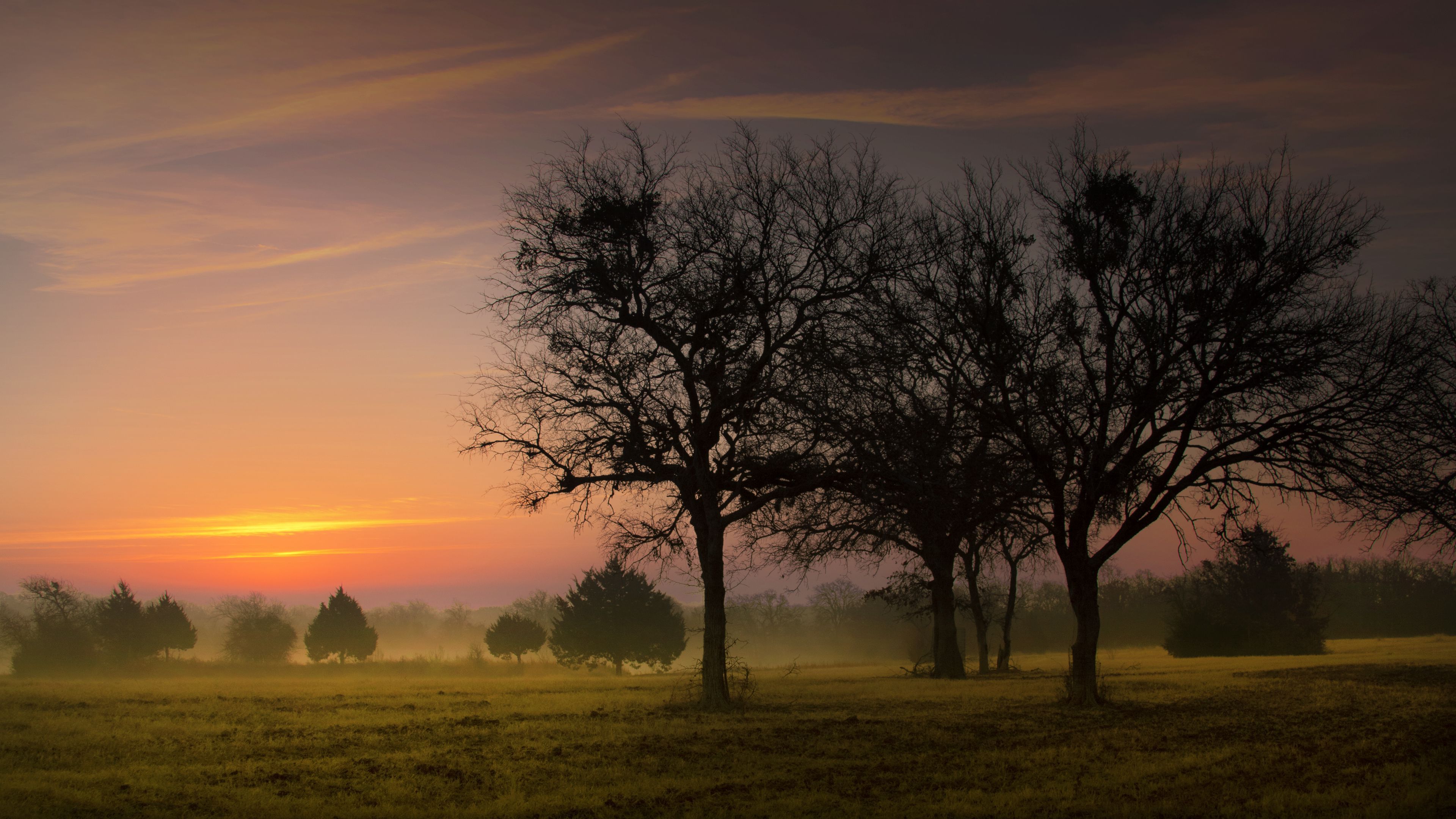 Download wallpaper 3840x2160 morning, sky, trees, dawn, early, fog 4k uhd 16:9 HD background