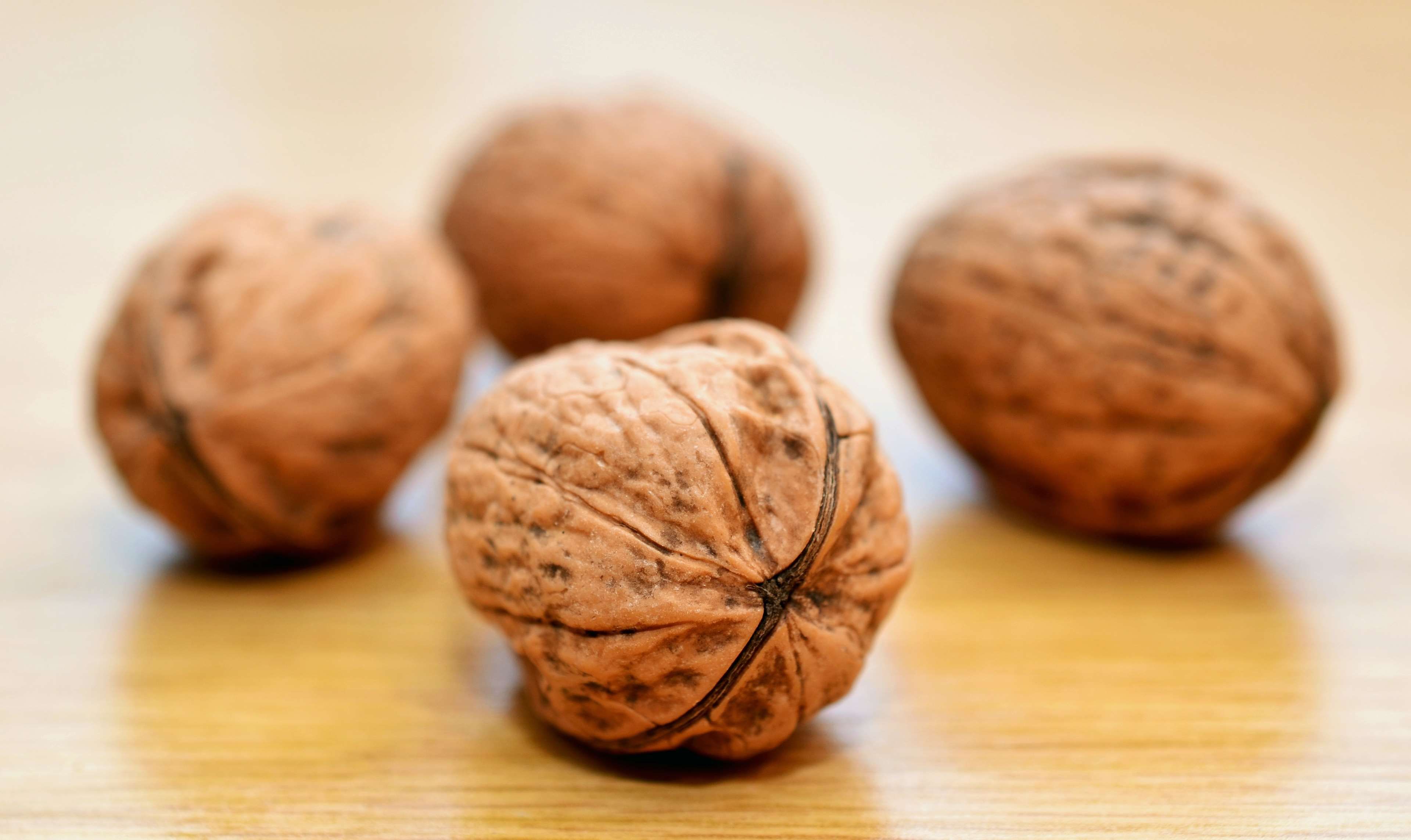 brown, food, macro, nuts, walnuts 4k wallpaper