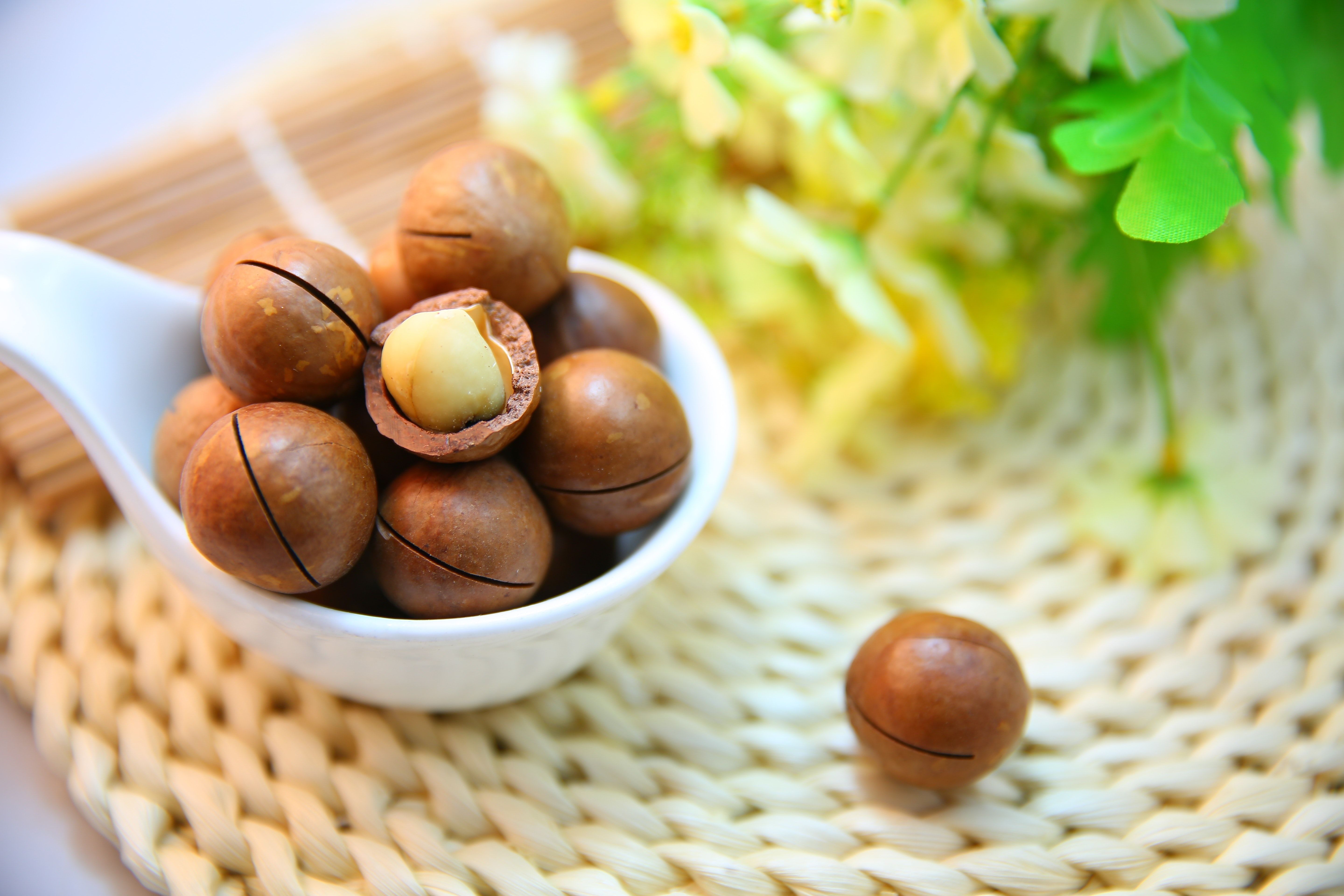 Brown Nuts in White Scoop · Free