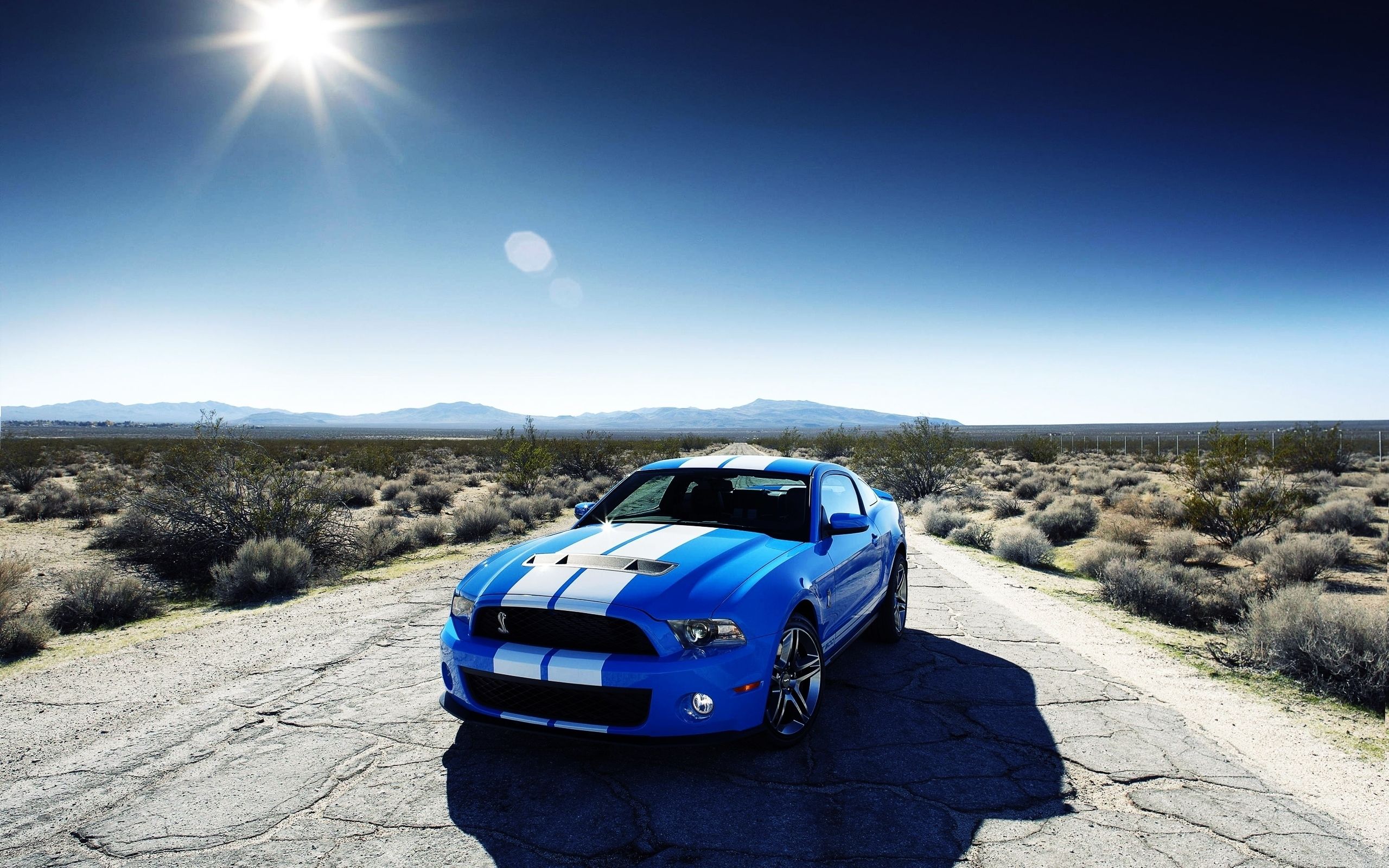 Ford Shelby GT Car HD wallpaper