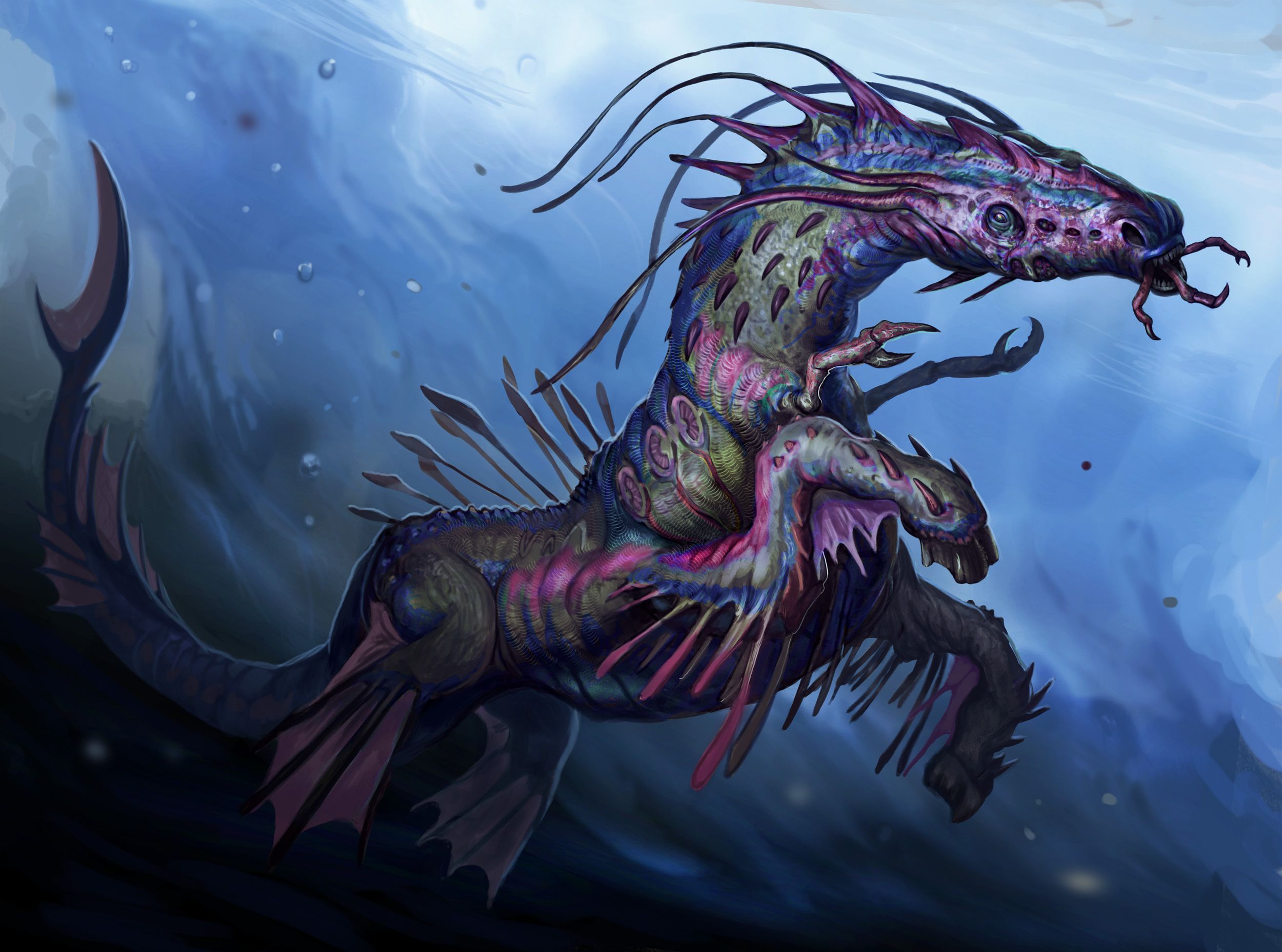 Hippocampus Wallpaper