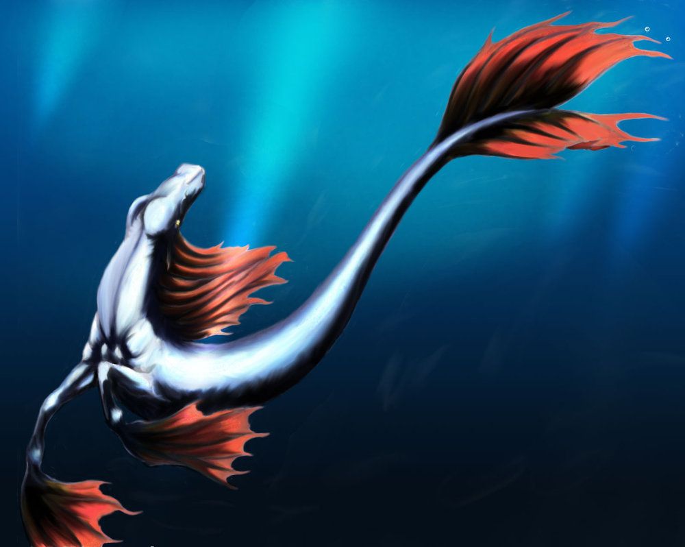 Free download Hippocampus Splenden by WanderingDragon379 [1000x798] for your Desktop, Mobile & Tablet. Explore Hippocampus Wallpaper. Hippocampus Wallpaper