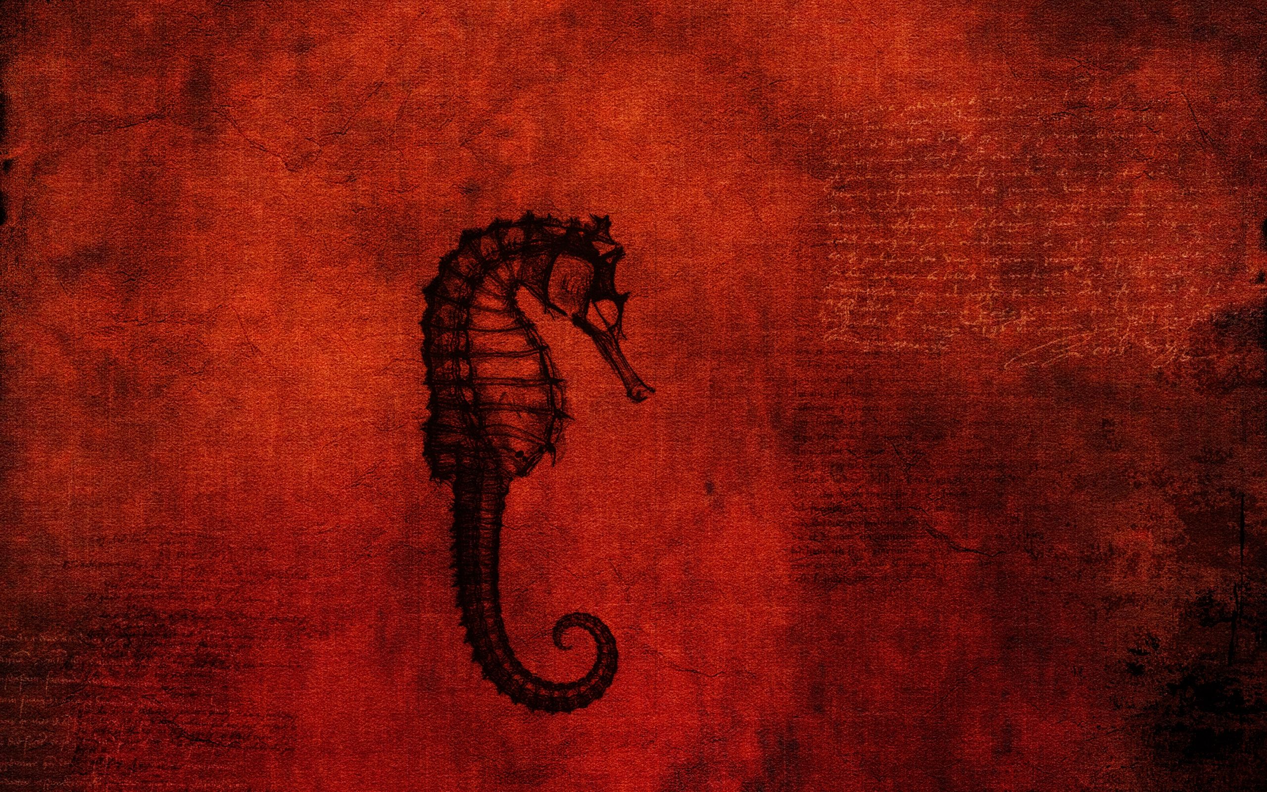 The mystery of the hippocampus MacBook Air Wallpaper Download