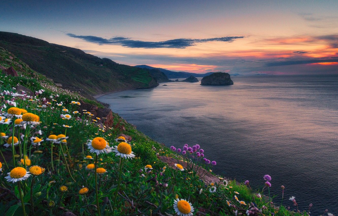 Wallpaper sunset, flowers, the ocean, coast, Spain, Spain, The Bay of Biscay, Bay of Biscay, Bizkaia, Biscay, Basque Country, Basque Country, Biscay image for desktop, section пейзажи