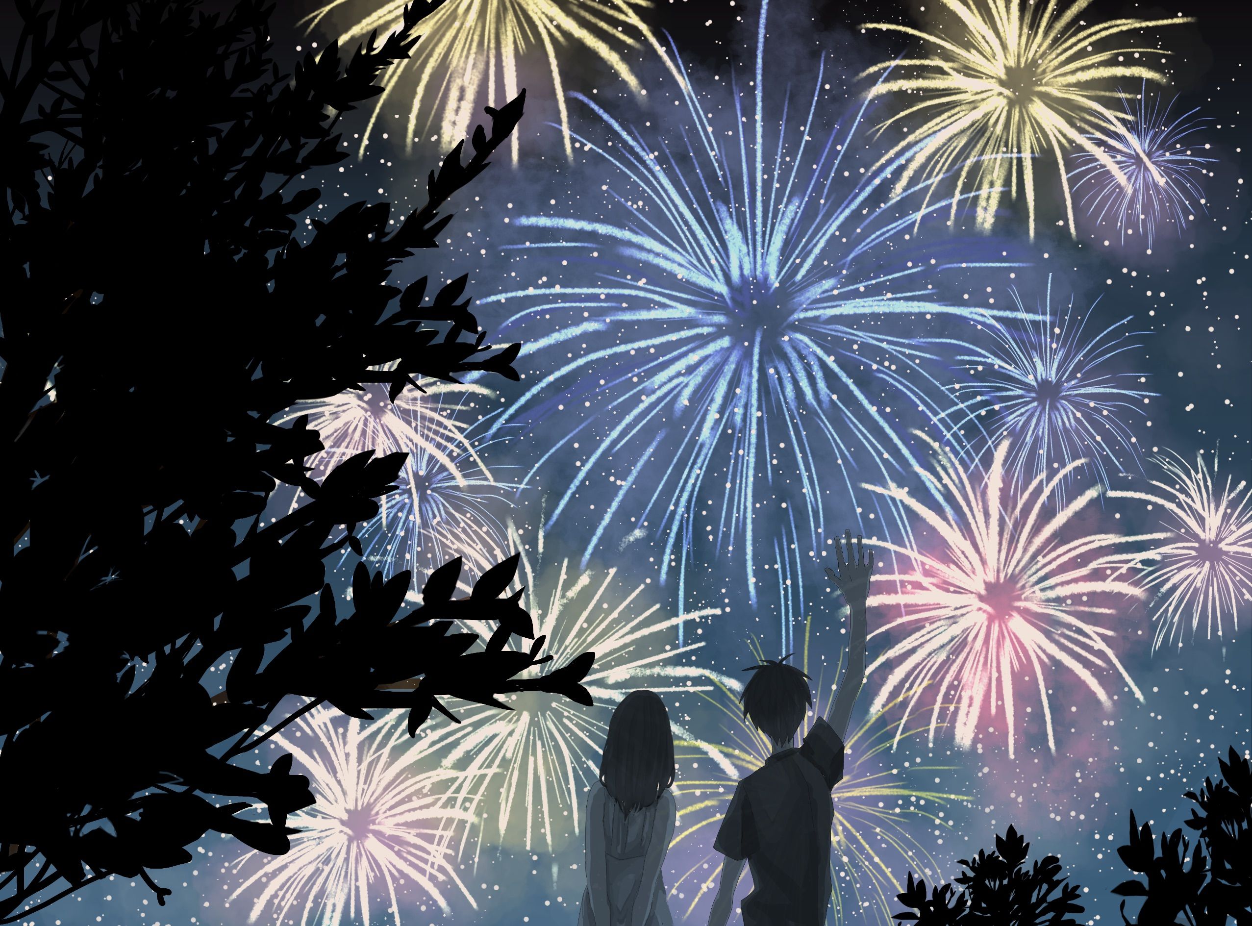 Fireworks Sky Plants Anime Stars Summer Wallpaper:2554x1889