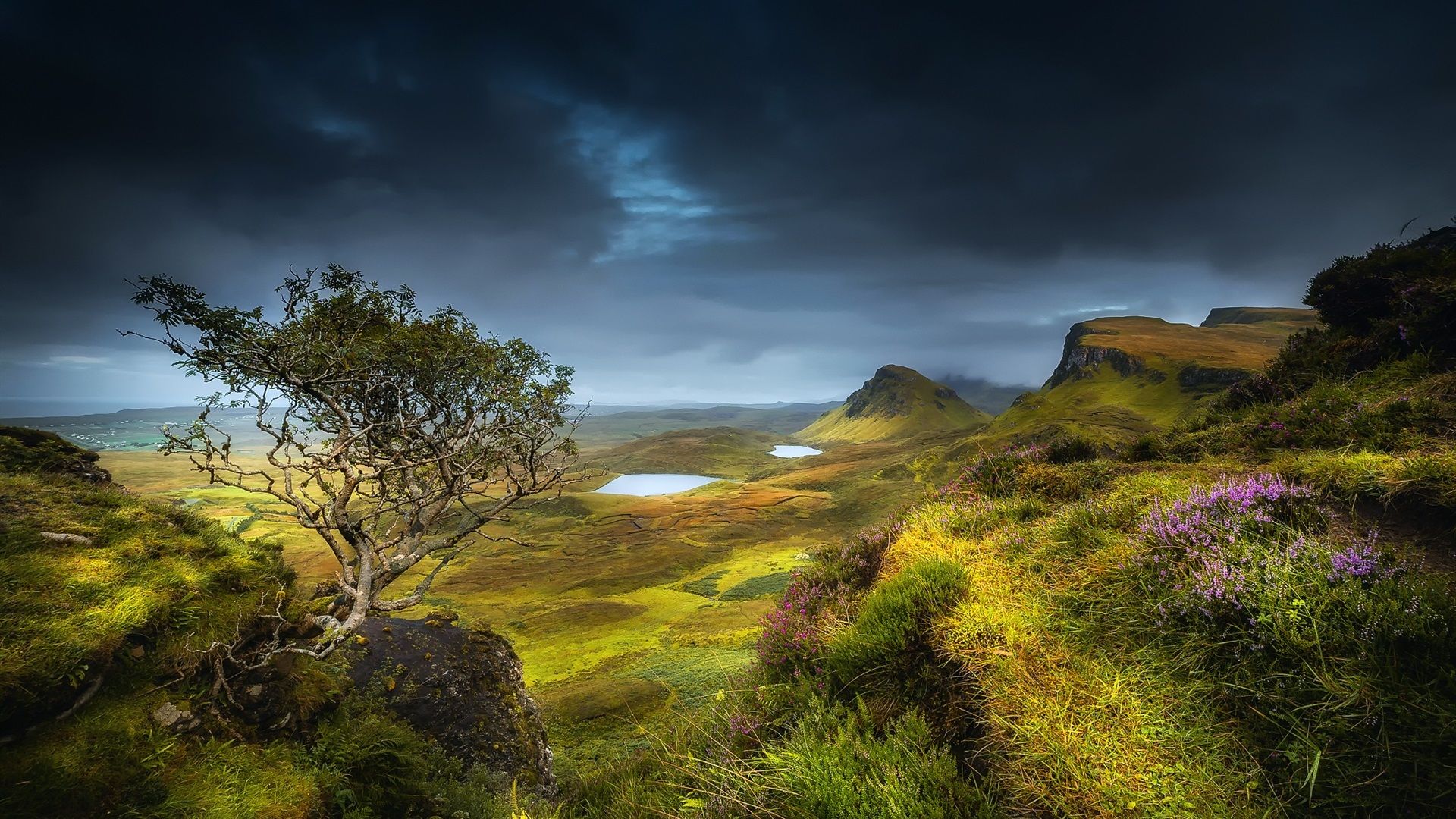 Summer Scotland Wallpapers - Wallpaper Cave