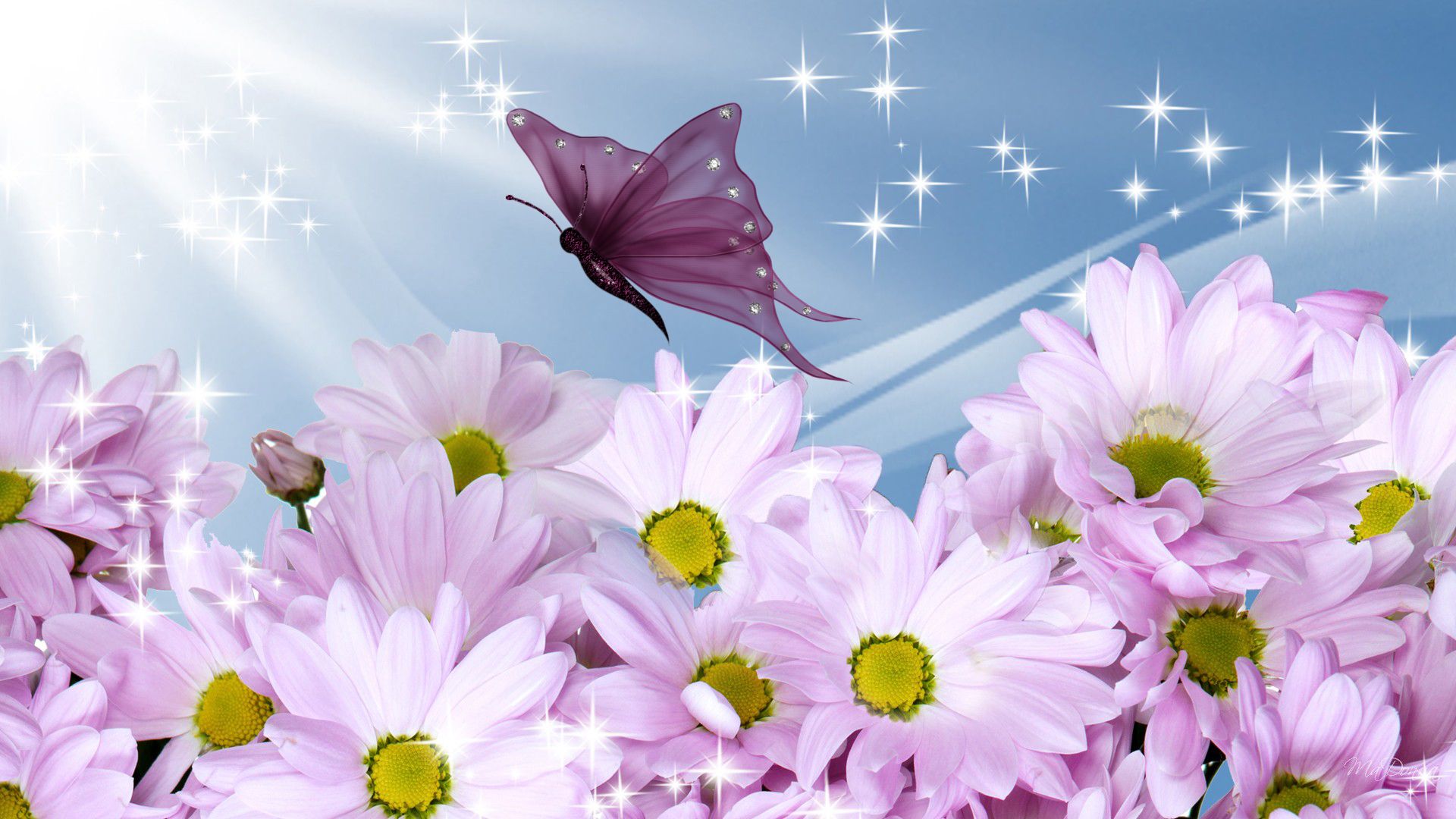 Beautiful Summer Flowers Desktop Background