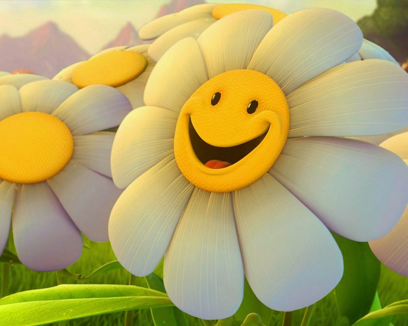 beautiful desktop wallpaper 2014: Summer flowers wallpaper