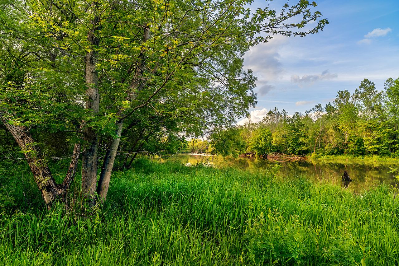 Desktop Wallpaper USA Lees Summit Missouri Summer Nature river