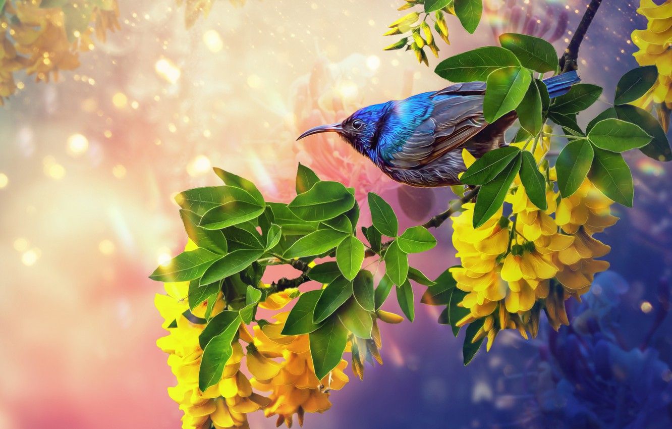 Wallpaper summer, flowers, bird, summer, bird, flowers image for desktop, section животные