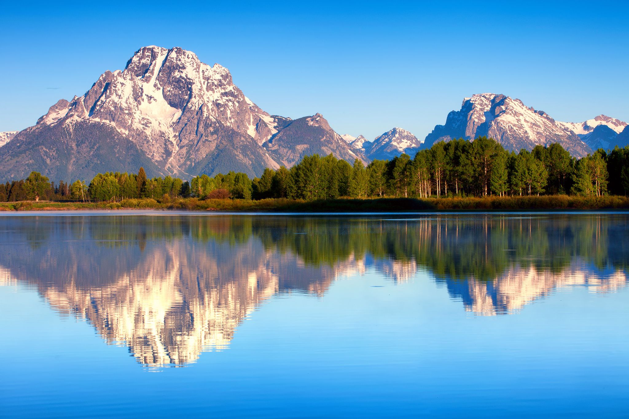 usa, Wyoming, Grand, Teton, National, Park, Mount, Moran, Lake, Jackson, Nature, Summer, Morning, Forest, Reflection, Trees, Shore, Forest Wallpaper HD / Desktop and Mobile Background