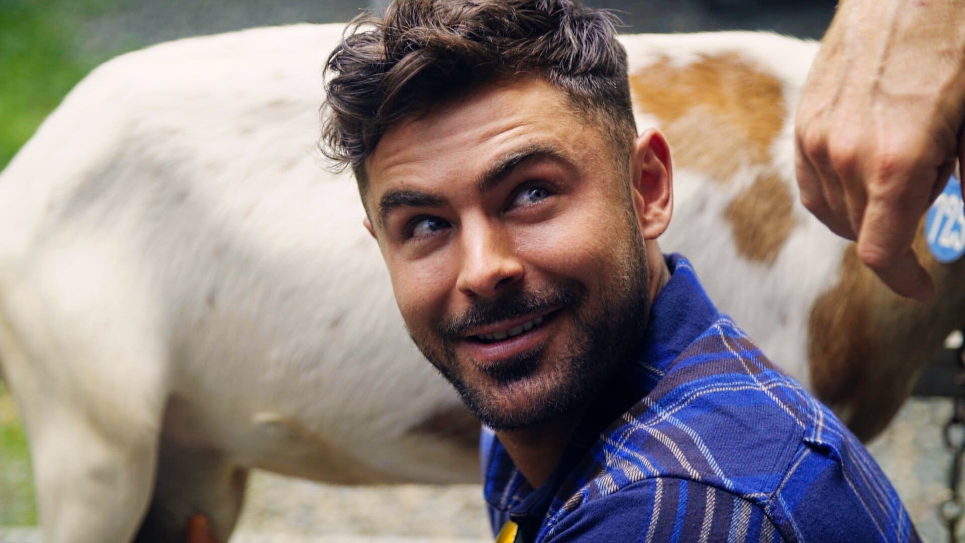 Zac Efron Down to Earth Explained: What Most People Get Wrong