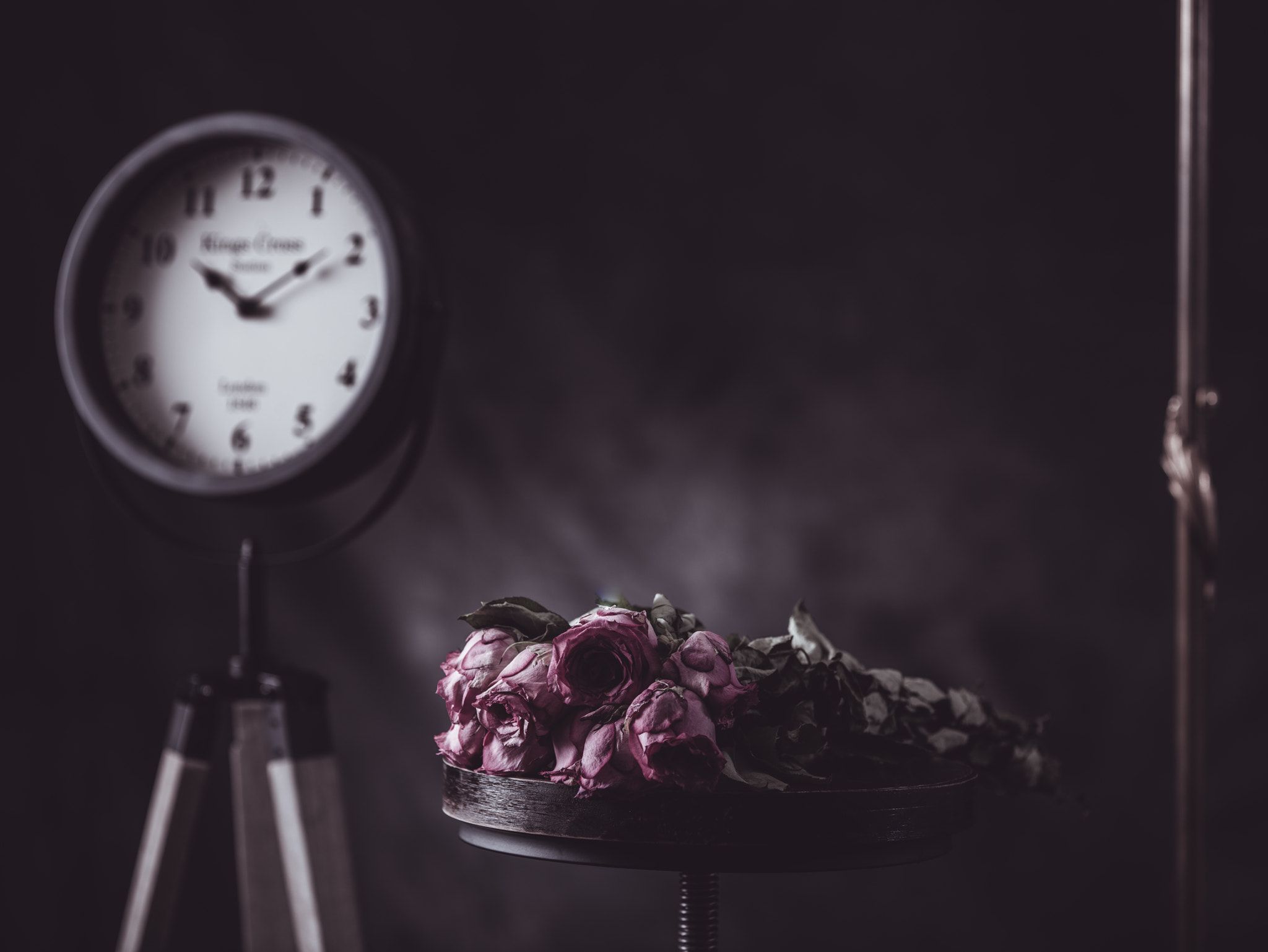 E I K K O N, Dead, Flowers, Time, 500px Wallpaper HD / Desktop and Mobile Background