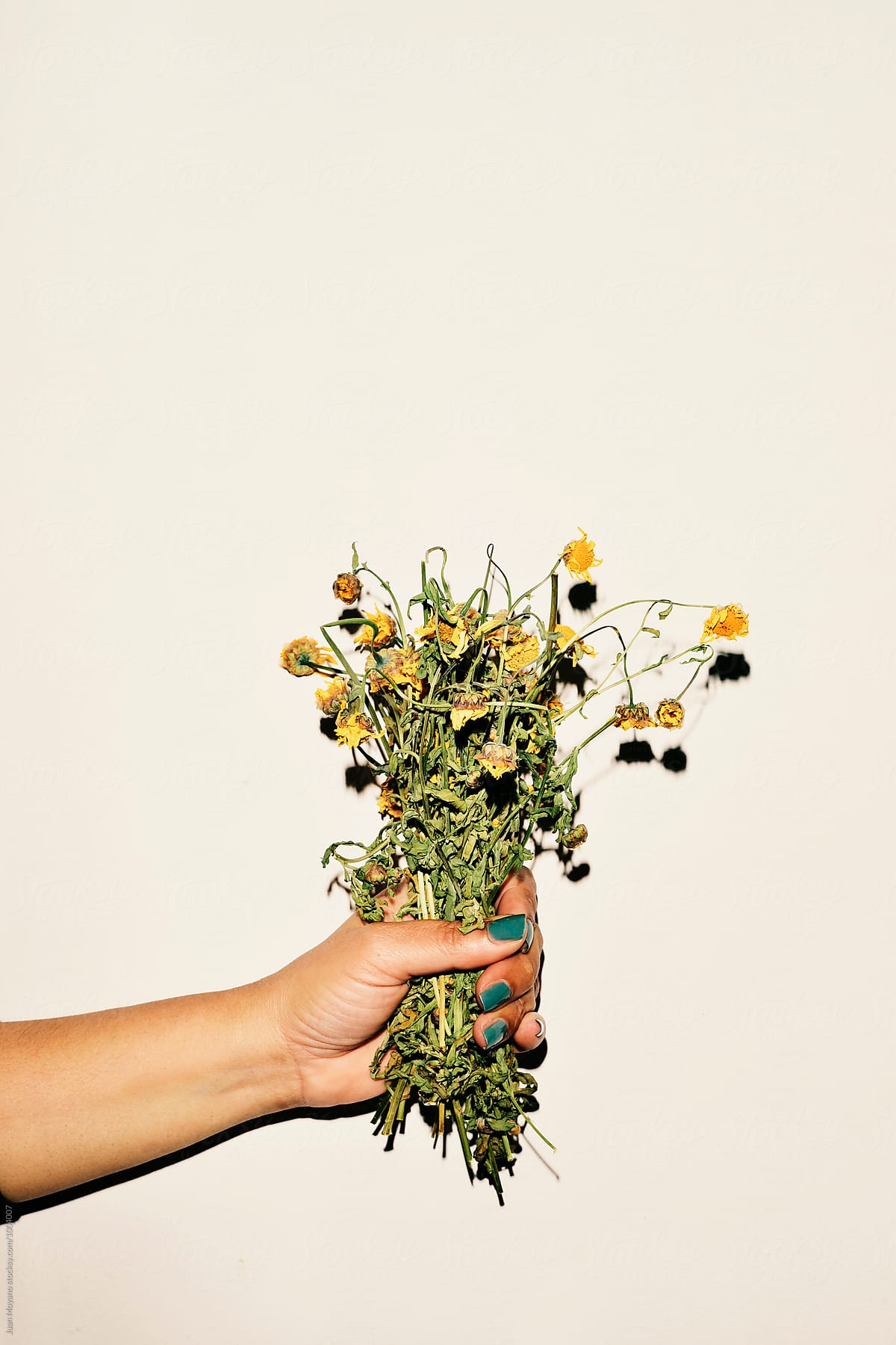 Dead Flowers by Juan Moyano, Depression