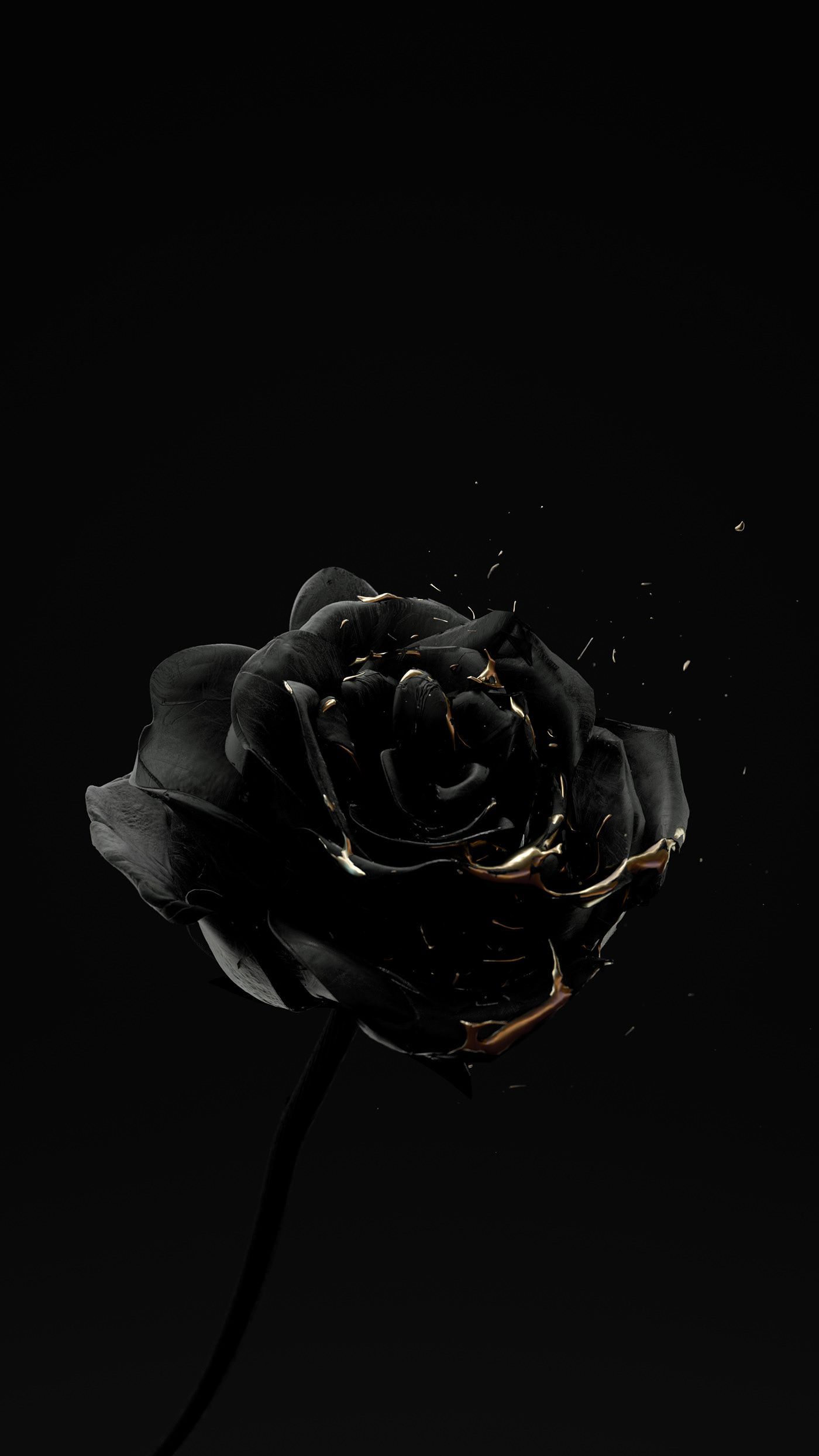 Roser er døde. 4 ”Black and Gold”. Black aesthetic wallpaper, Cute black wallpaper, Black aesthetic
