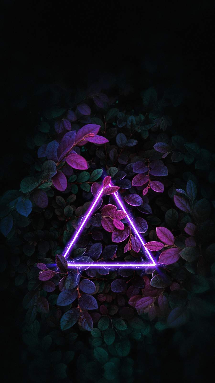 Triangle Neon Nature Foliage with 900x1600 Resolution