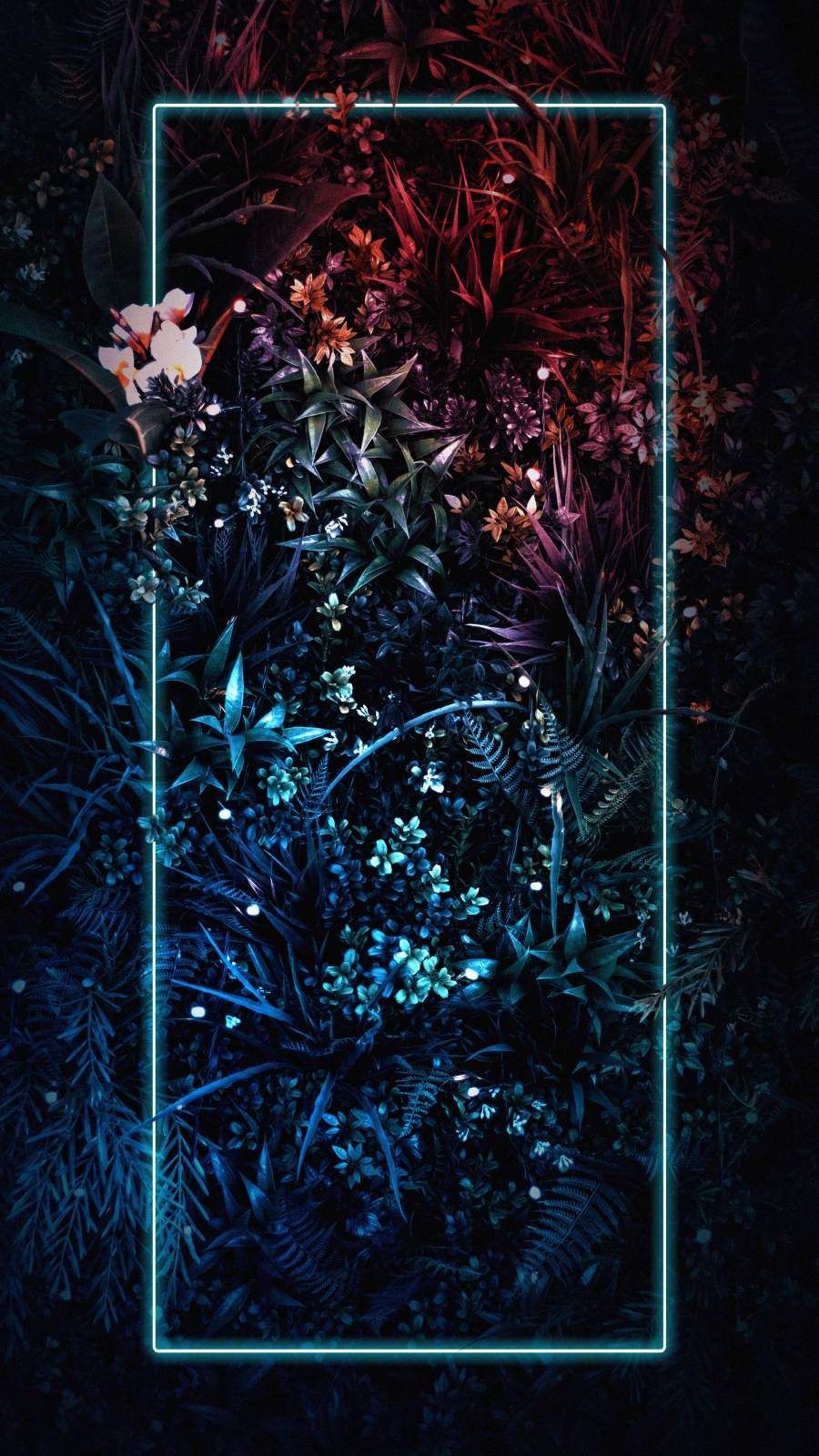 Neon Light Plants Nature Wallpaper 4K of Wallpaper for Andriod