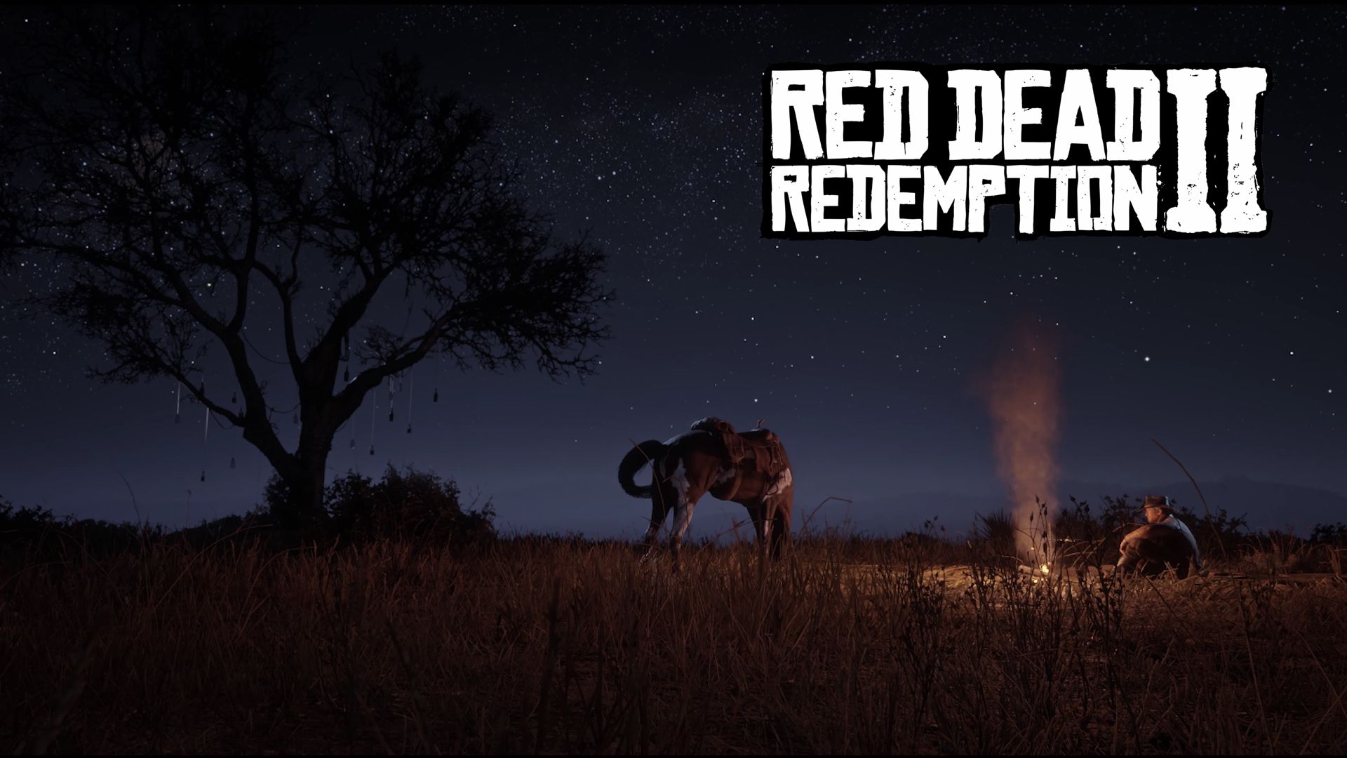 Red Dead Redemption 2 PC Guide