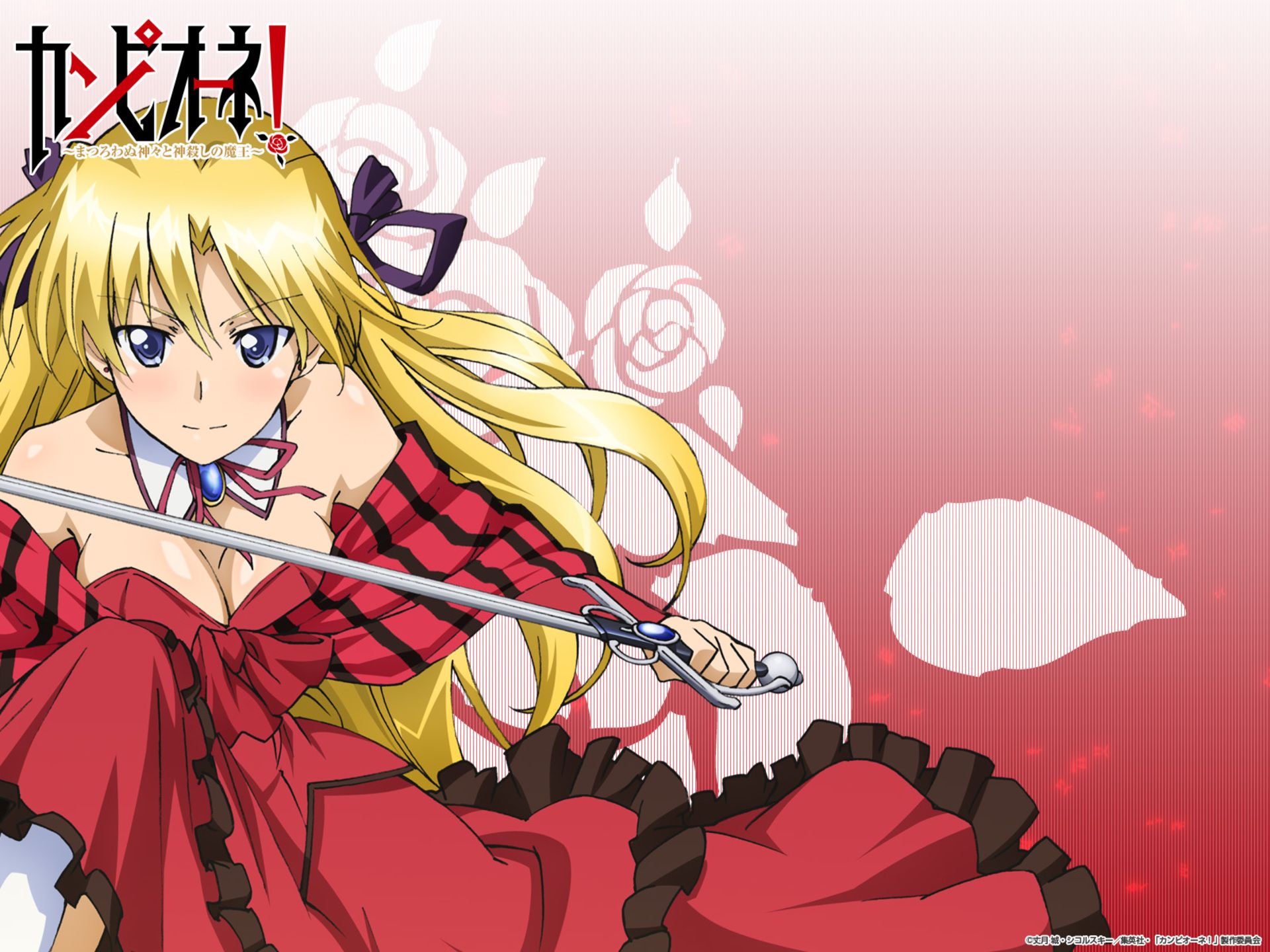 Campione! HD Wallpaper