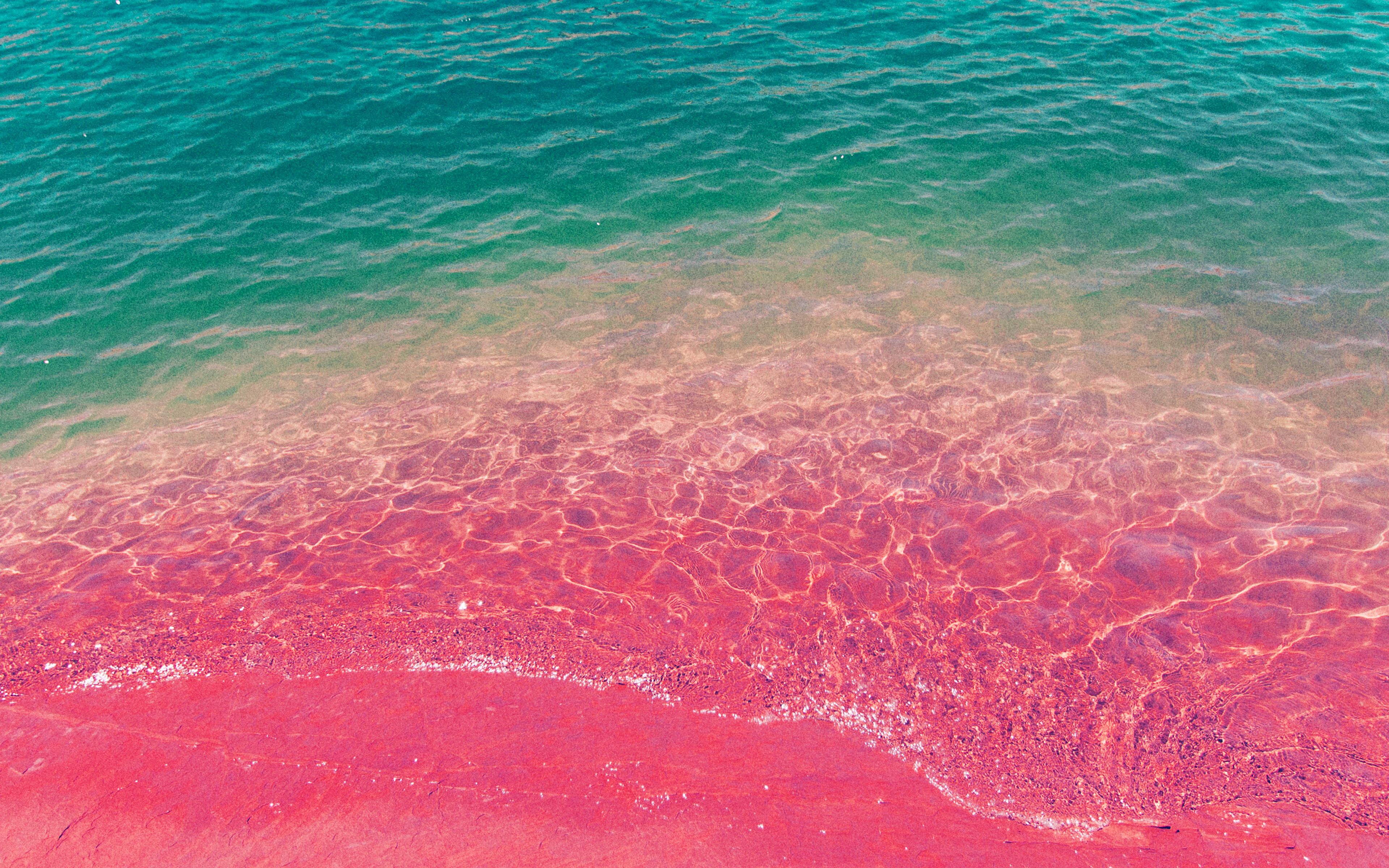 Sea Water Beach Summer Nature Pink Wallpaper