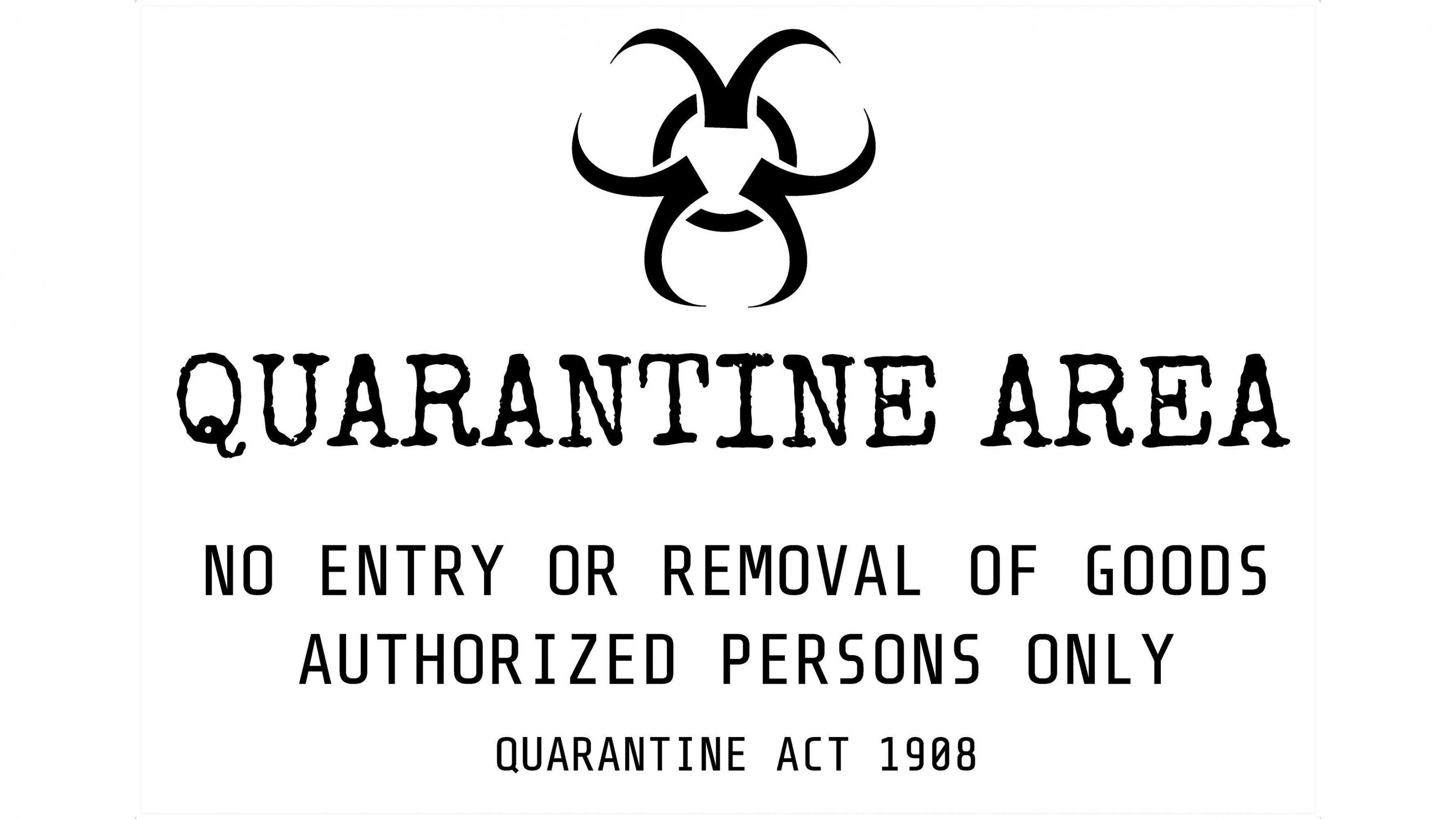Quarantine Wallpaper