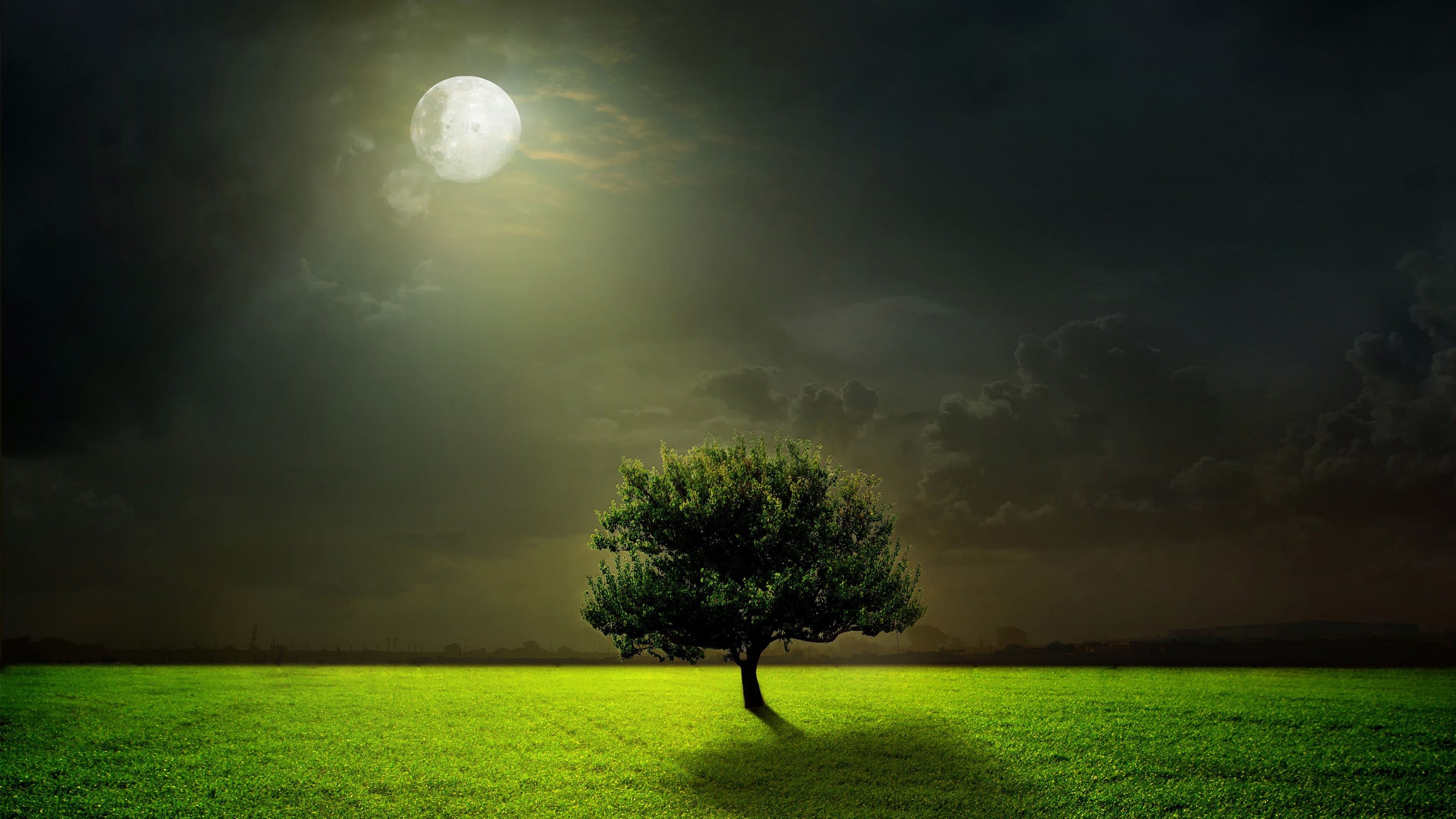 Meadows Night Tree with Full Moon 4K Wallpaper Download