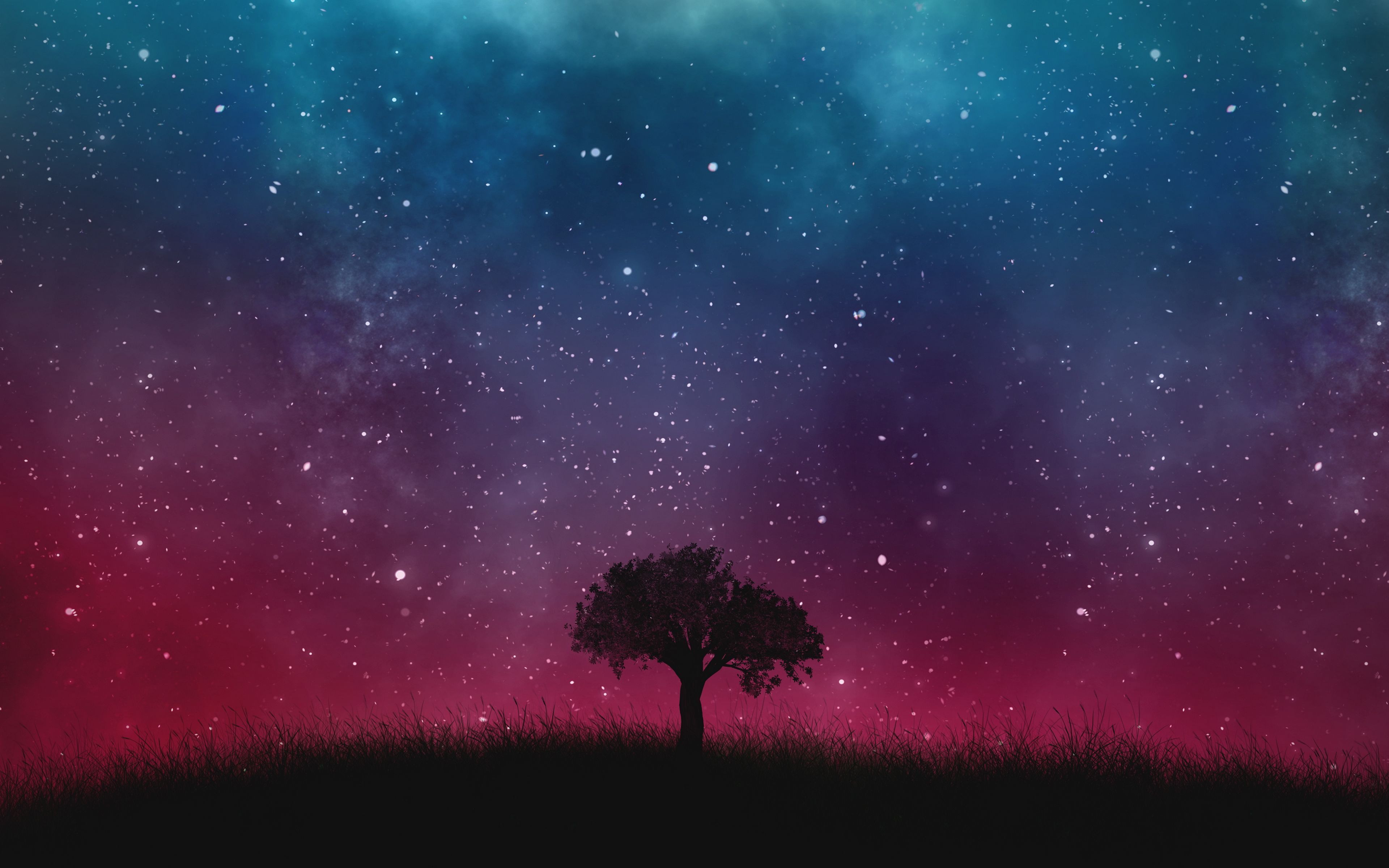 Download wallpaper 3840x2400 starry sky, night, tree 4k ultra HD 16:10 HD background