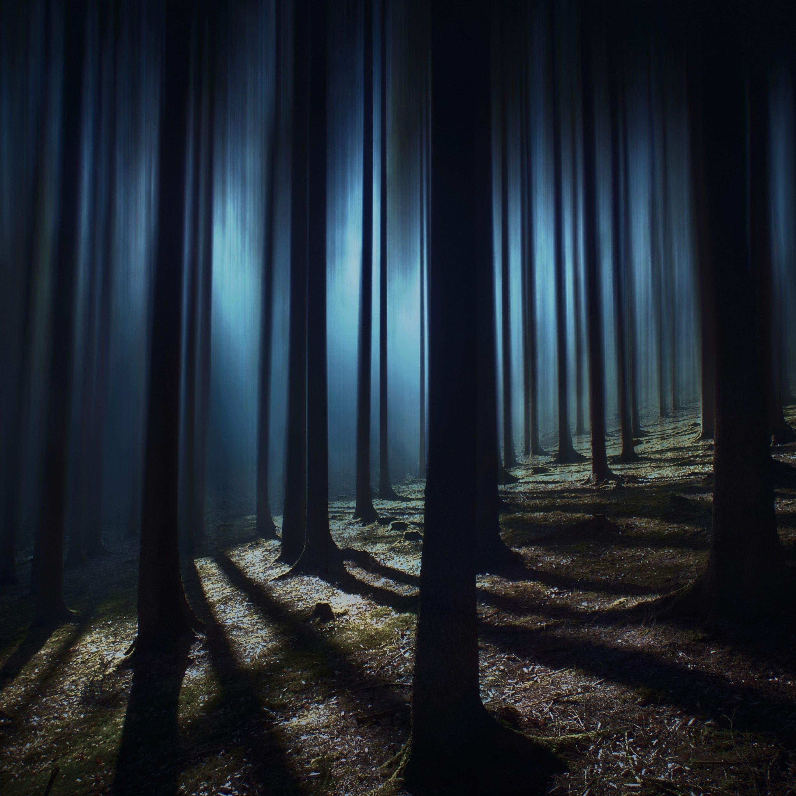 Dark Forest 4K Wallpaper, Woods, Night time, Dark, Shadow, Tall Trees, Haunted, Mystery, 5K, Nature