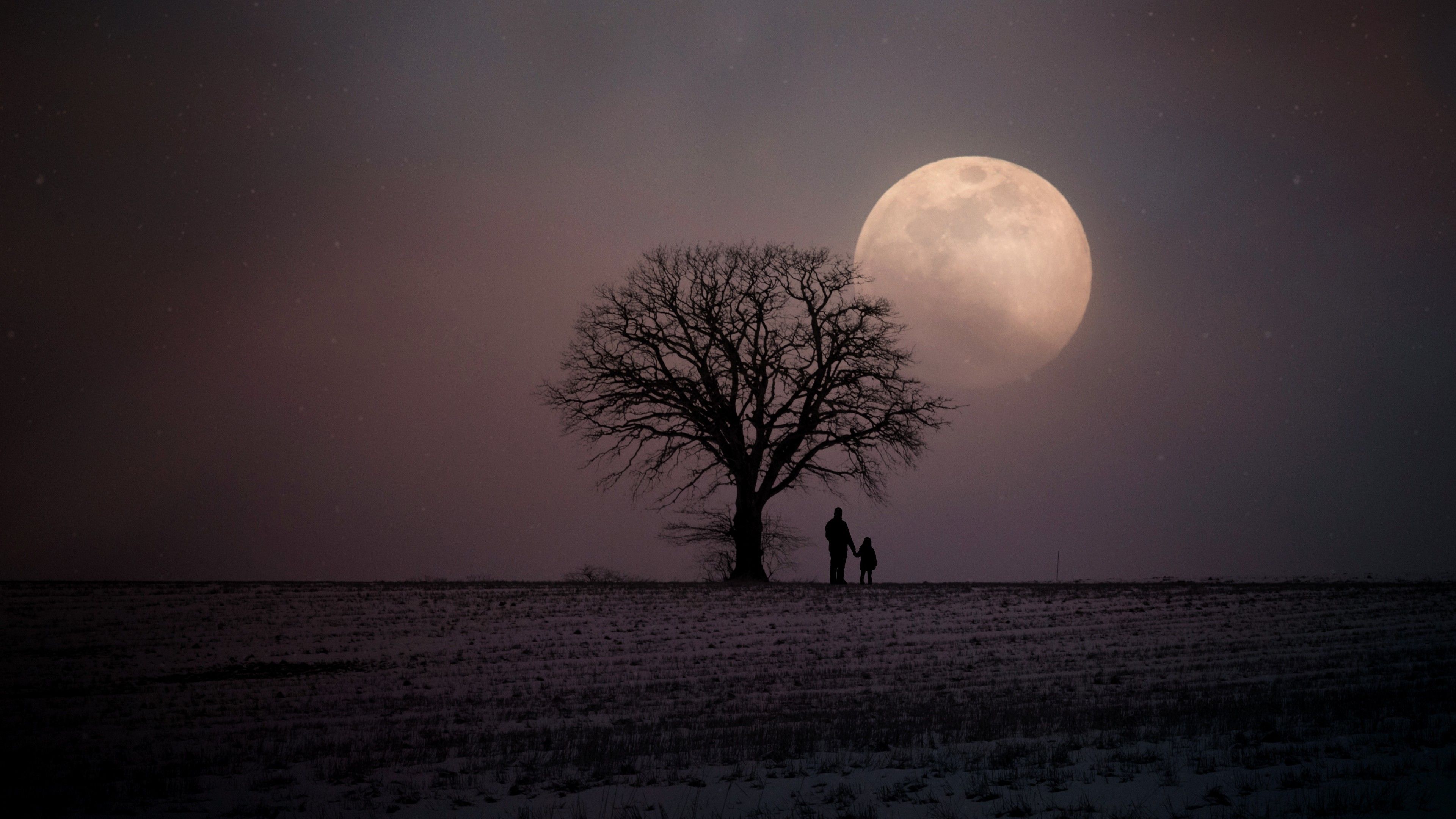 Father And Child Tree Moon Night 4K HD Wallpaper