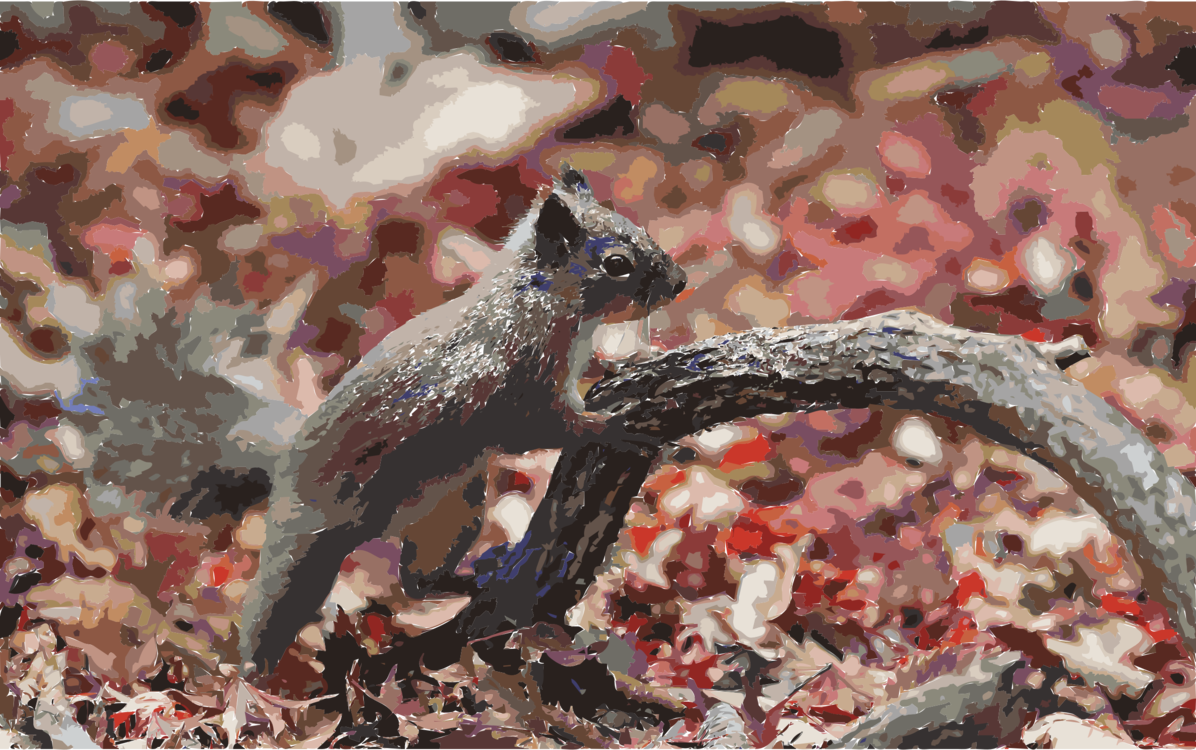 Squirrel, Chipmunk, Tree PNG Clipart Free SVG / PNG