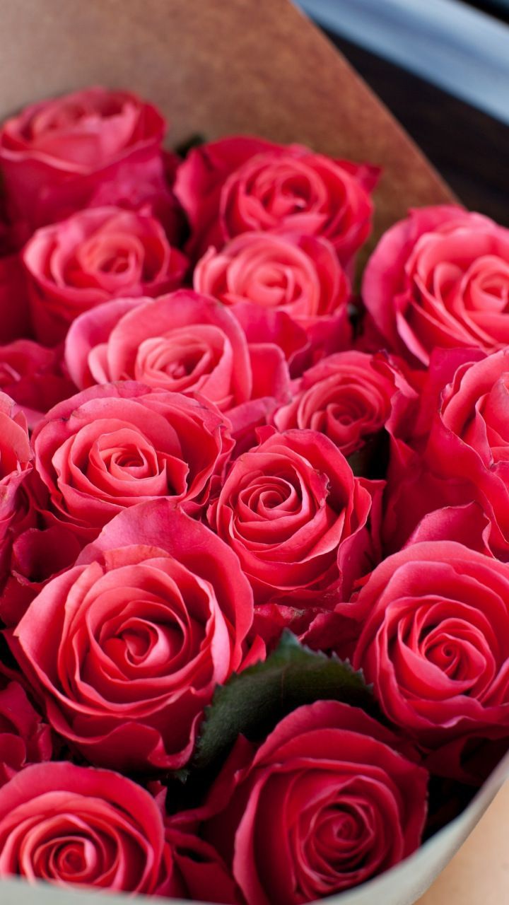 Red roses, bouquet, fresh flowers, 720x1280 wallpaper. Garden rose bouquet pink, Garden rose bouquet, Rose flower wallpaper