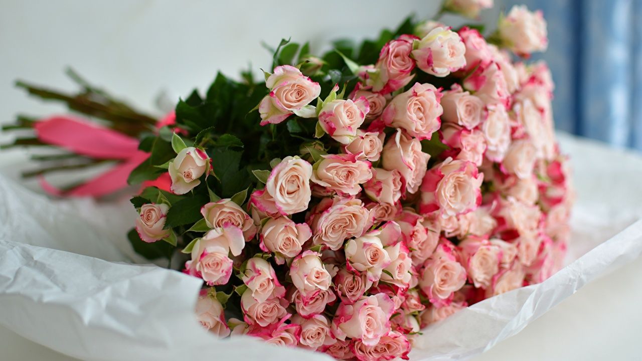 Desktop Wallpaper Bouquets rose Pink color flower