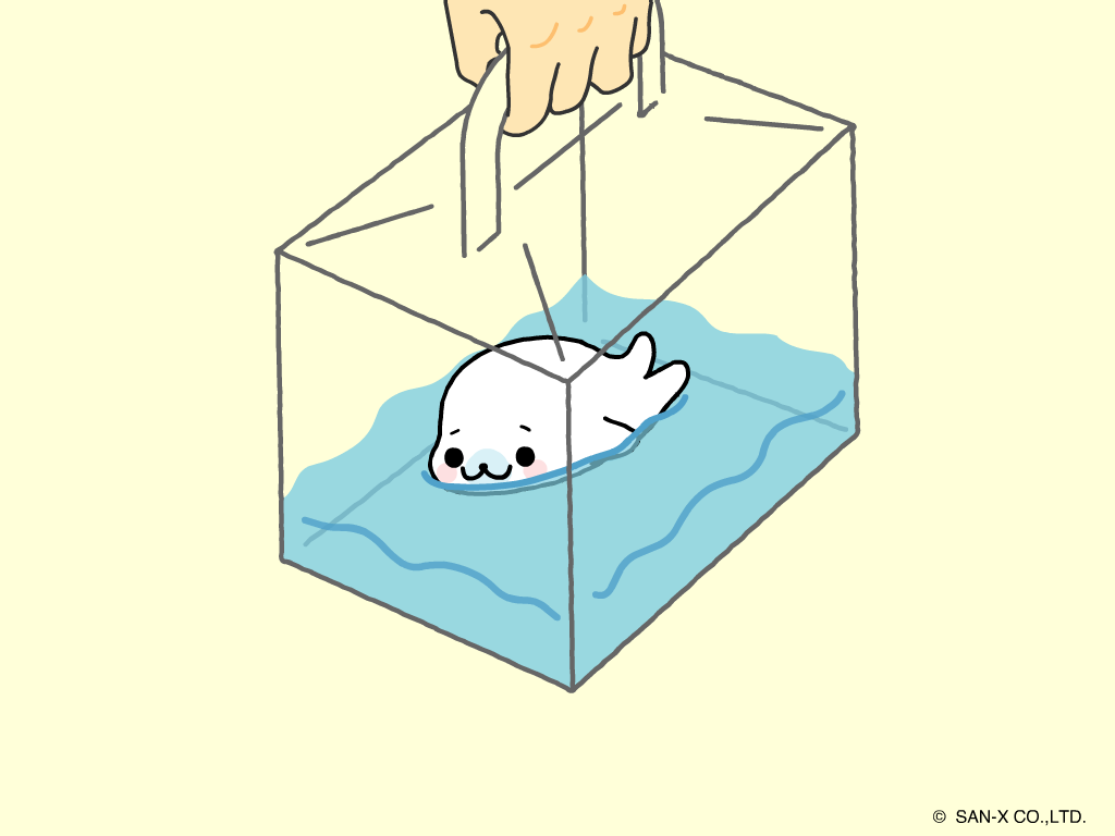 Mamegoma. .. seal pets the size of your hand