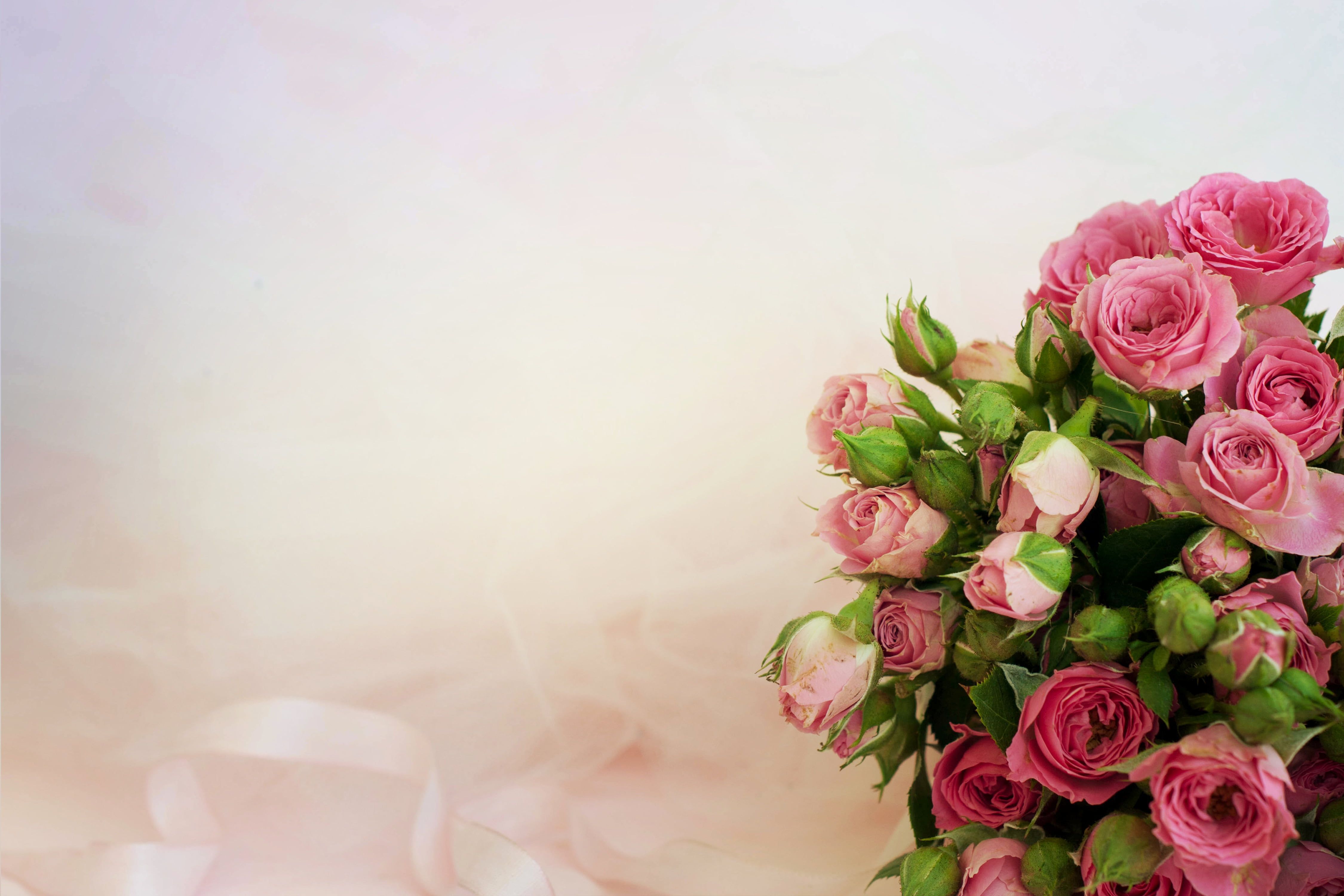 pink rose bouquet #background #roses #bouquet #pink K #wallpaper #hdwallpaper #desktop. Pink rose bouquet, Pink flower bouquet, Yellow rose bouquet