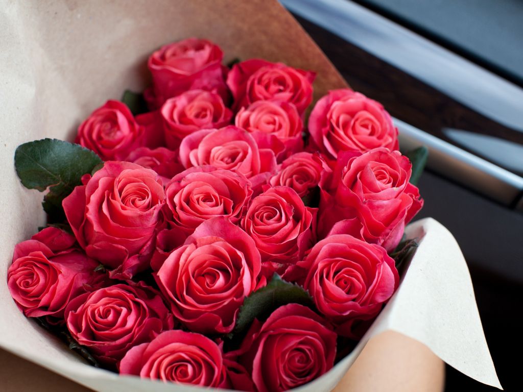 Desktop wallpaper red roses, bouquet, fresh flowers, HD image, picture, background, d50439