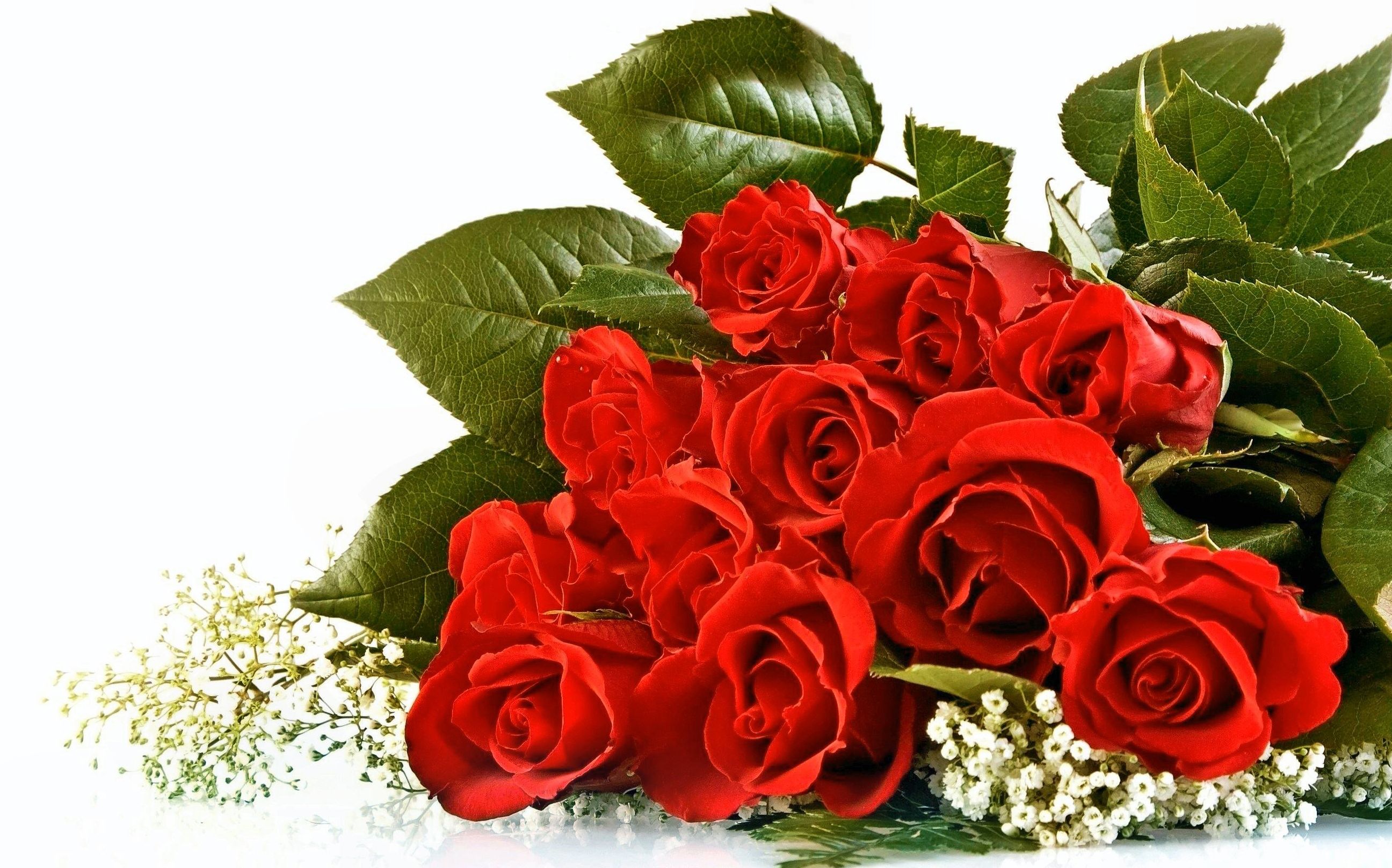 Red Roses Bouquet Wallpaper
