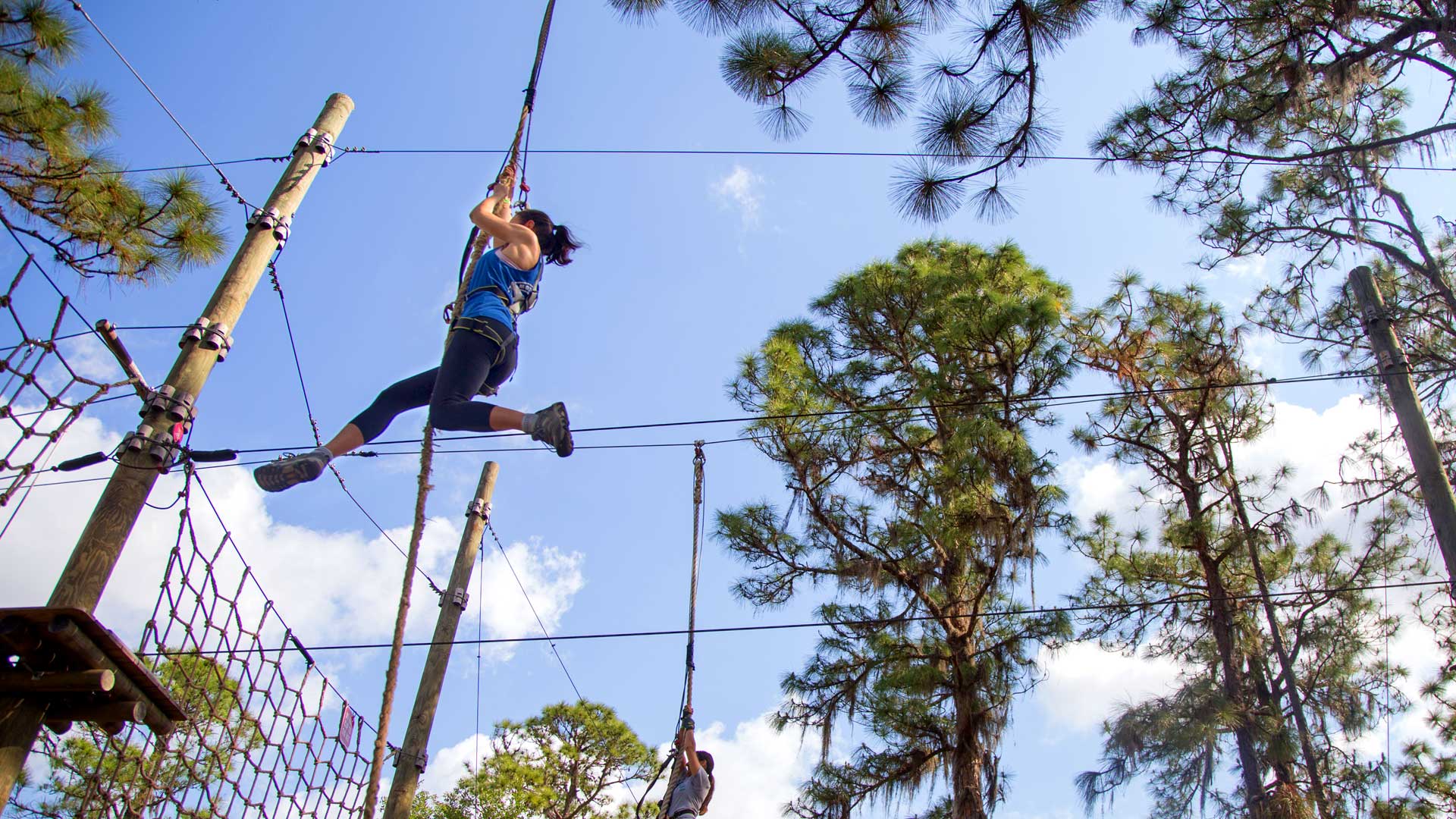 TreeUmph! Adventure Course. Challenging Obstacles, Ropes, & Ziplines