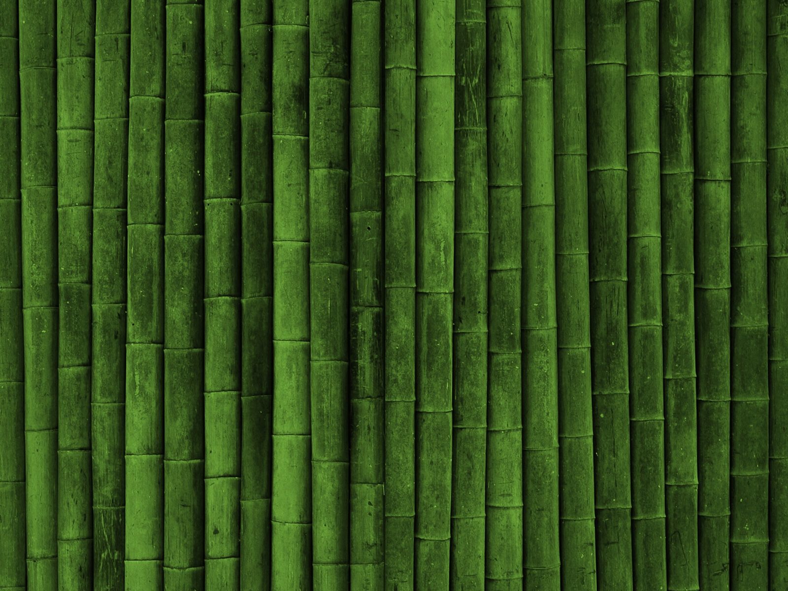 Green Theme Wallpaper