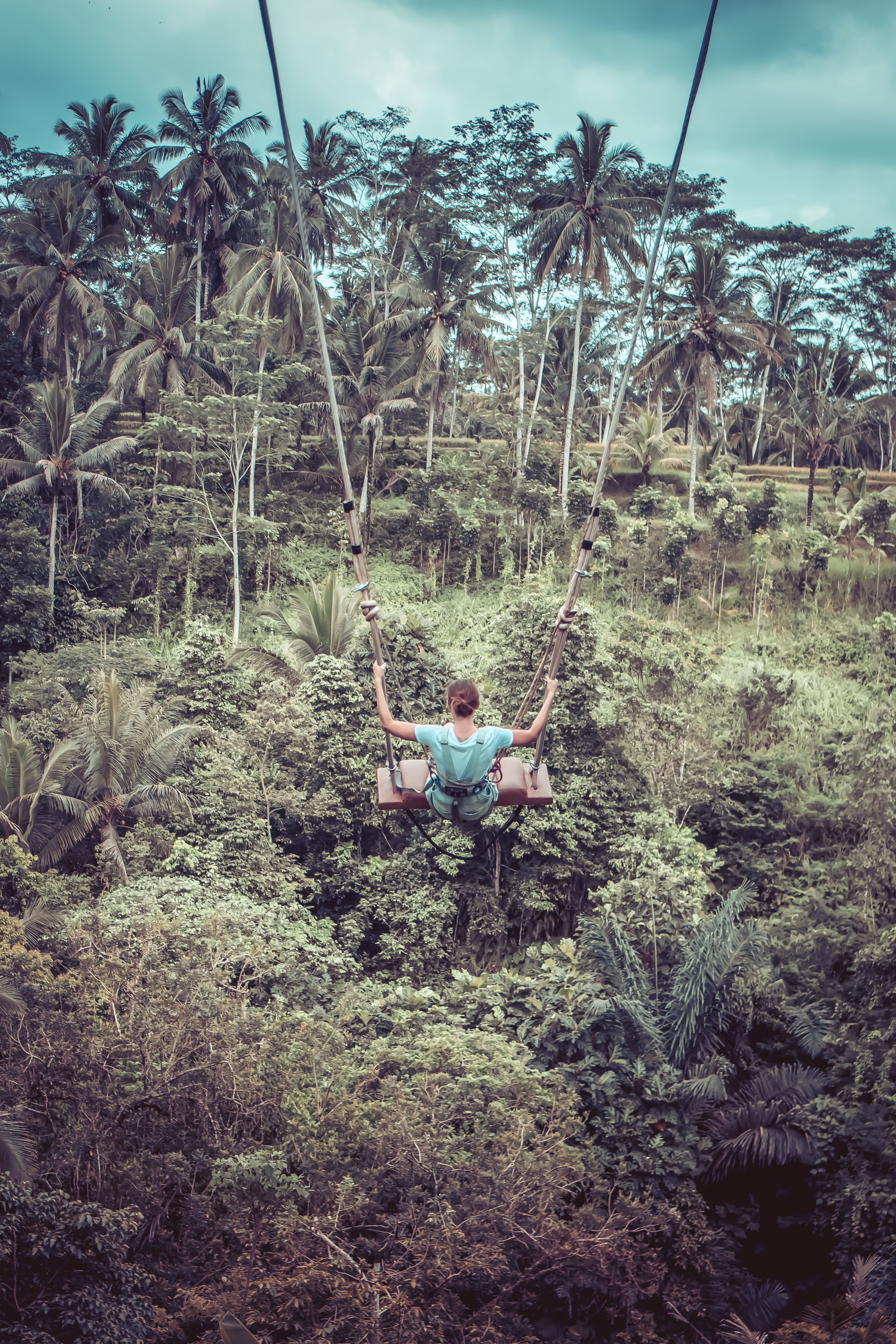 Woman Sitting On Wood Plank In Zip Line · Free
