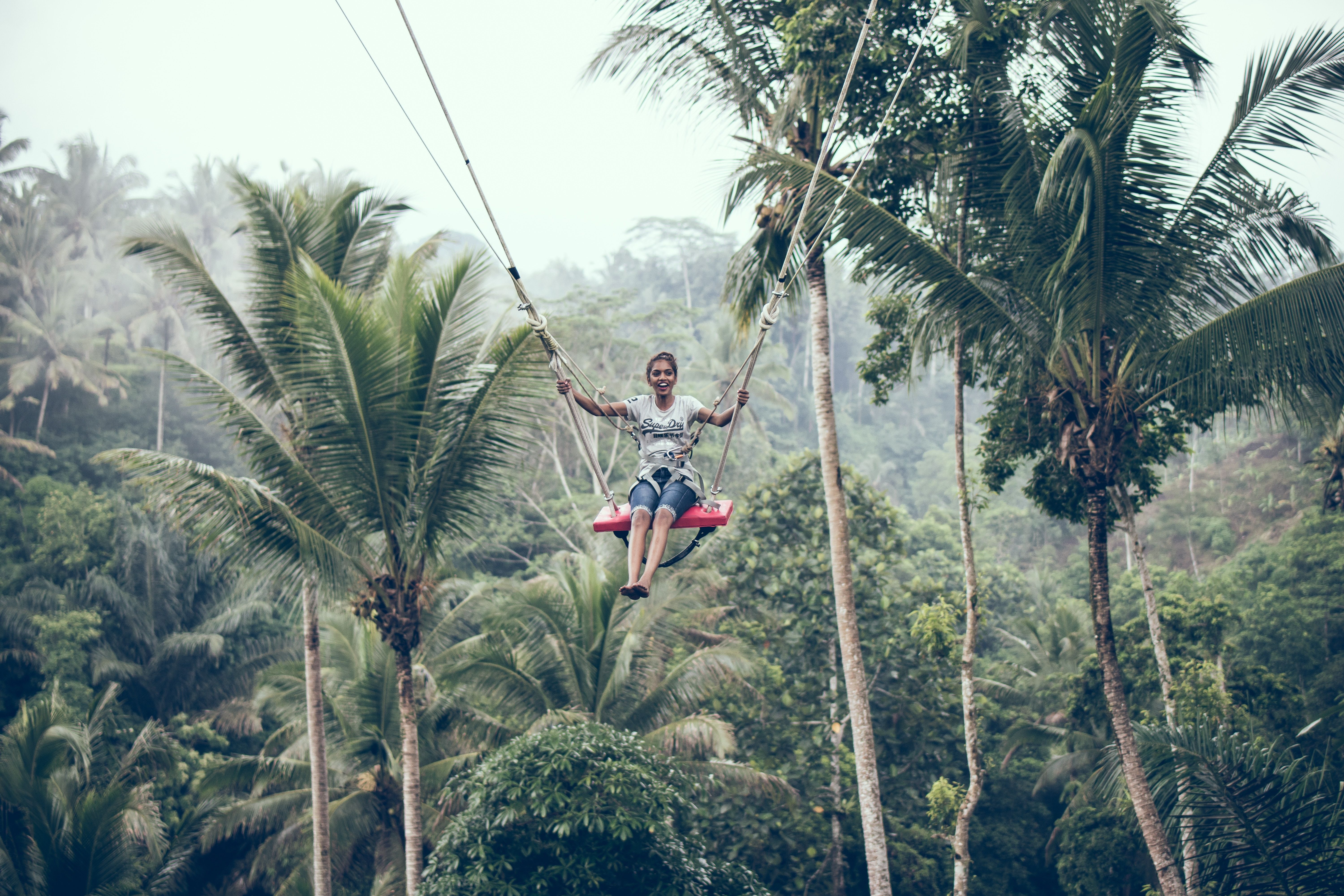 6000x4000 #swing, #forest, #adventure, #seat, #woodland, #happy, #adrenaline, #fun, #palm, #outdoors, #explore, #nature, #tree, #smile, #Free , #zipline, #person. Mocah HD Wallpaper