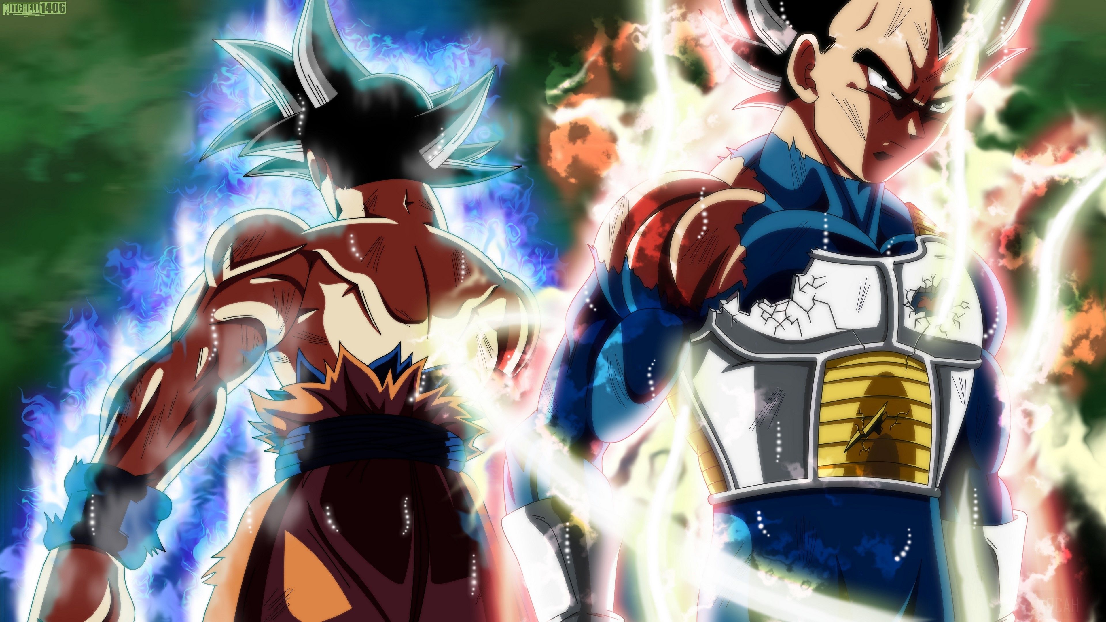 Dragon Ball Super, Goku, Ultra Instinct, Vegeta 4k wallpaper HD Wallpaper